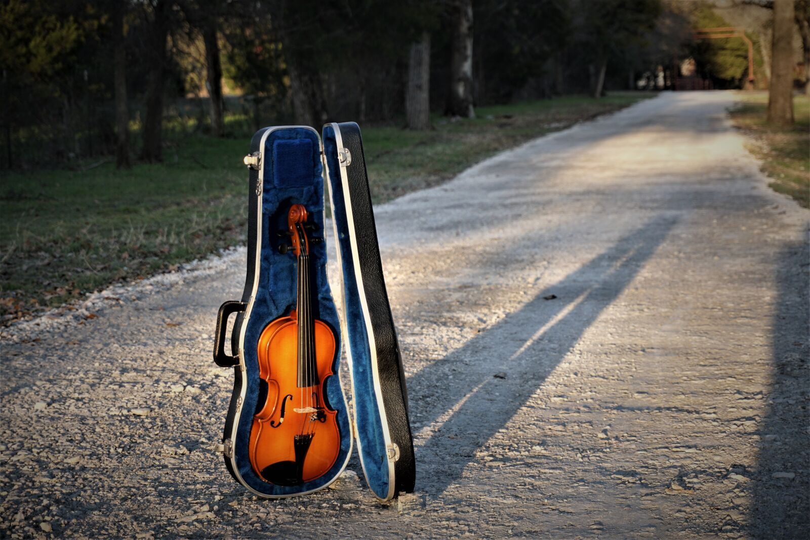 Sony a6300 sample photo. Violin, instrument, music photography