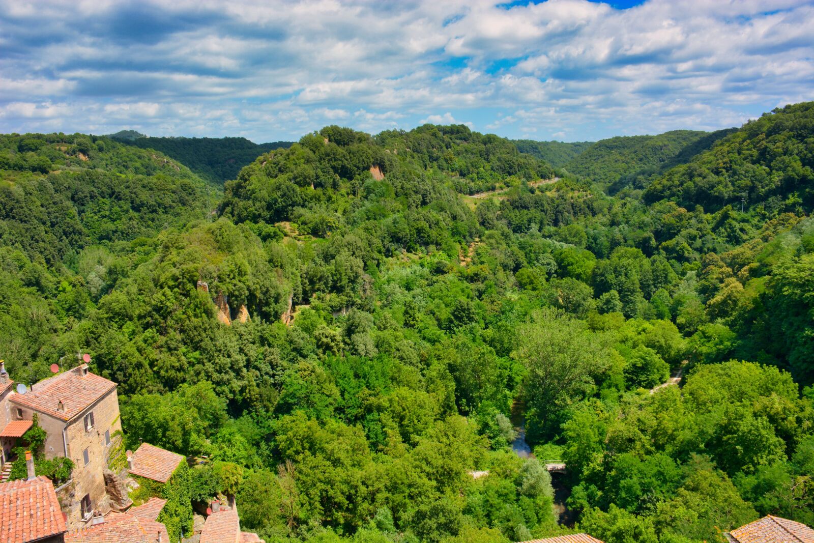 Nikon D7100 sample photo. Trees, forest, tuscany photography