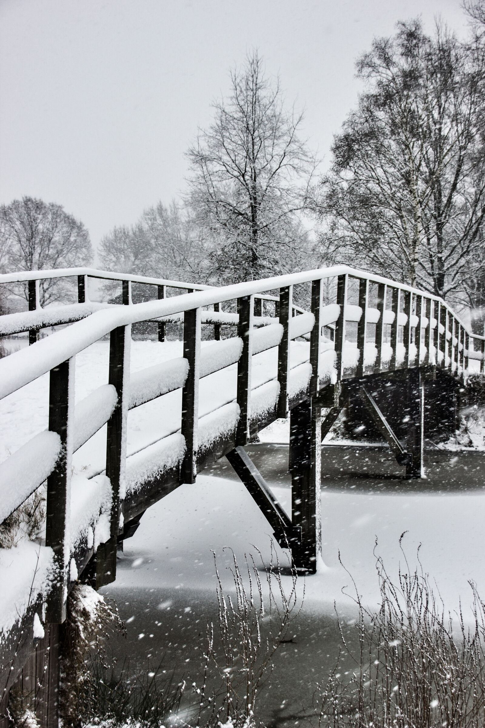 Canon EOS 550D (EOS Rebel T2i / EOS Kiss X4) sample photo. Winter landscape, snow, nature photography