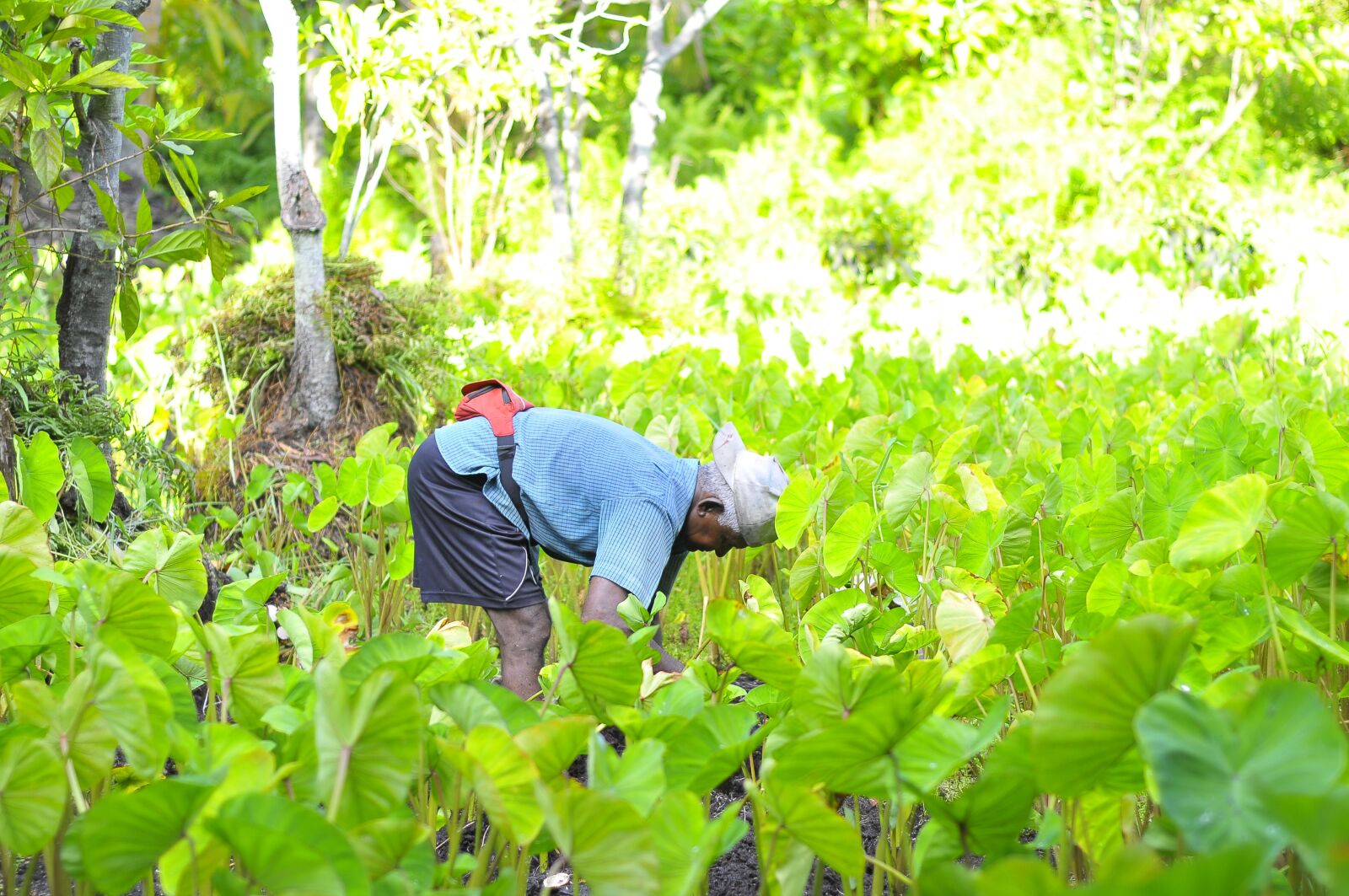 Nikon D300 sample photo. Atoll, beach, couple photography