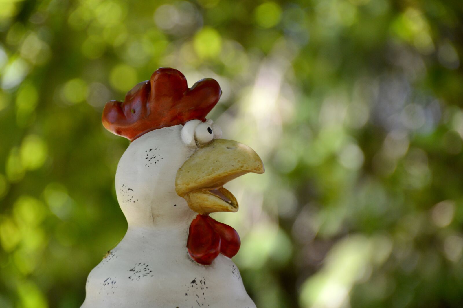 Nikon D3200 sample photo. Gockel, hahn, figure photography