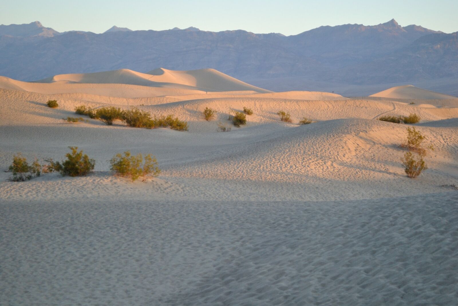 Nikon D3000 sample photo. Dunes, sand, death valley photography