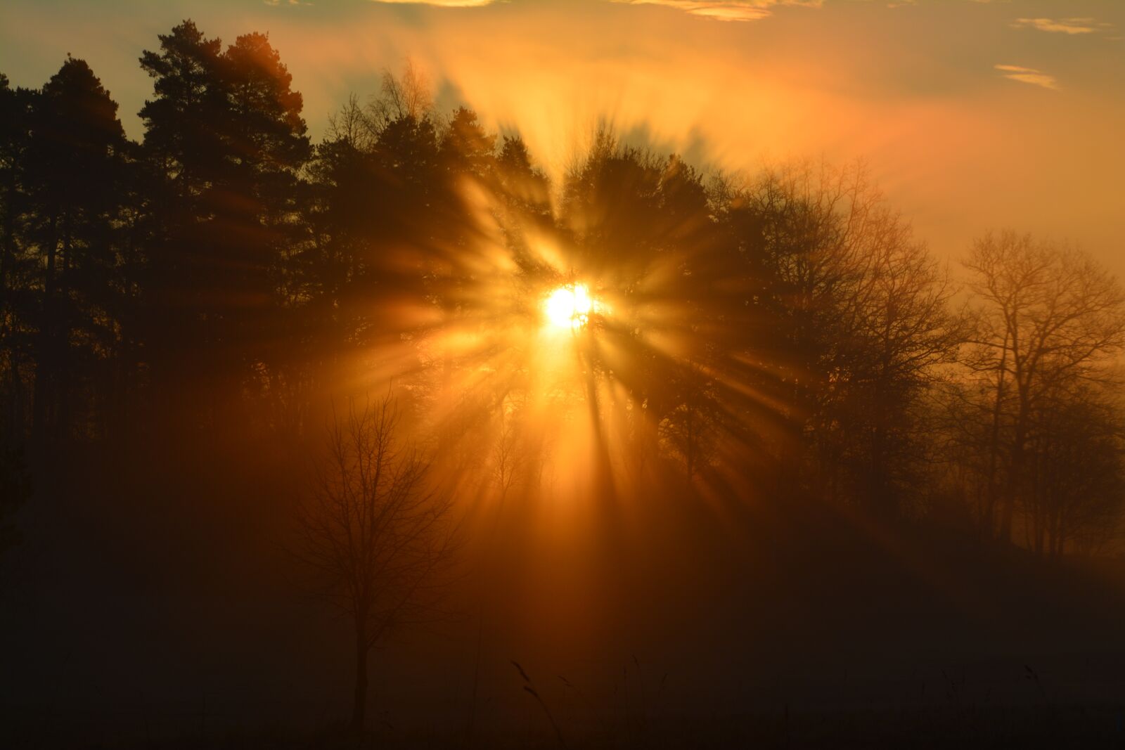 Nikon D5200 sample photo. Sunset, dawn, sun photography