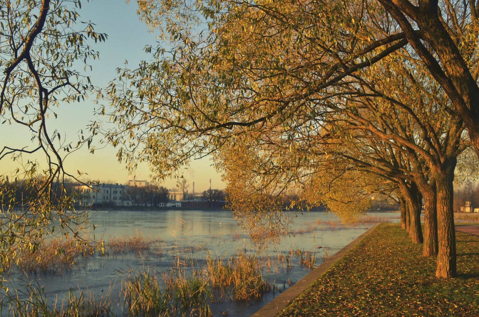Nikon D3100 sample photo. Autumn, river, trees photography