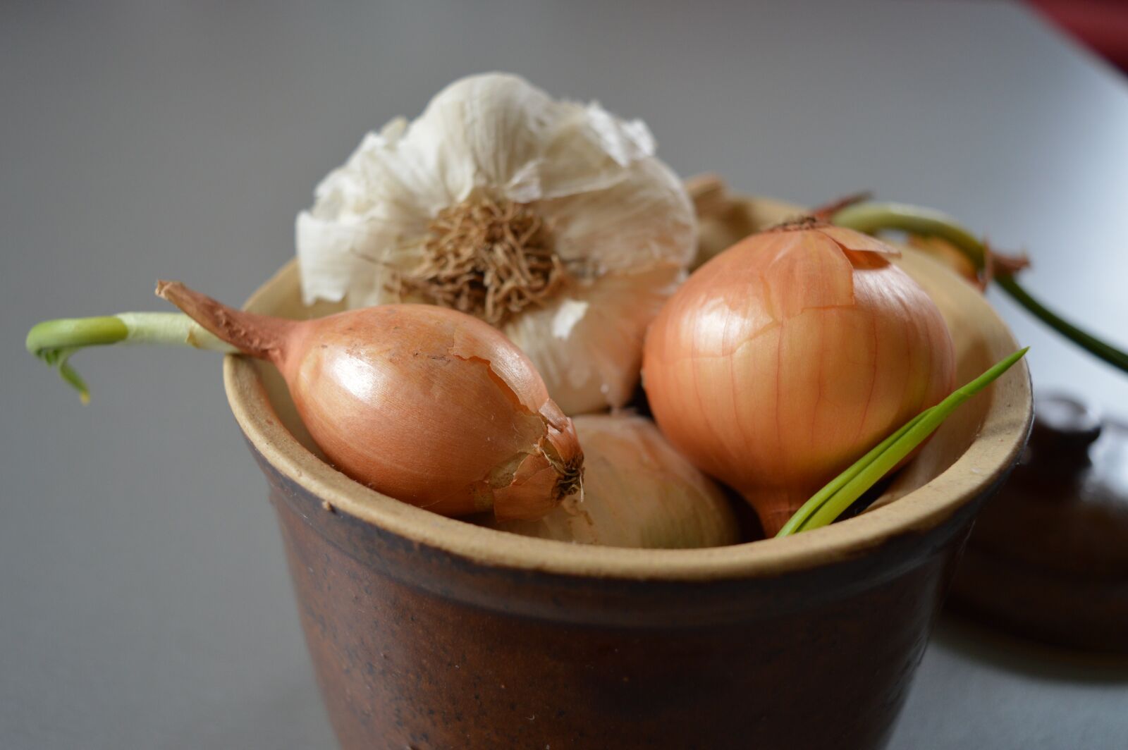 Nikon D3200 sample photo. Food, onions, garlic photography