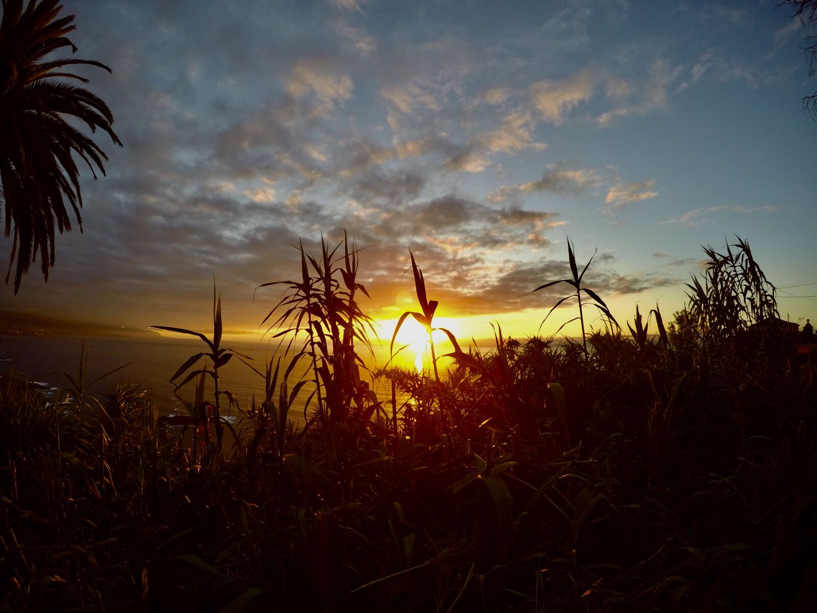GoPro HERO4 Black sample photo. Sunset, twilight, backlight photography