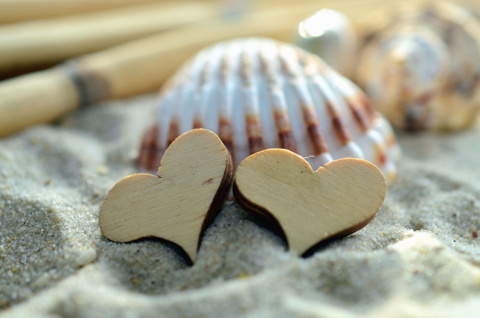 Nikon D5100 sample photo. Heart, seashell, sand, decoration photography