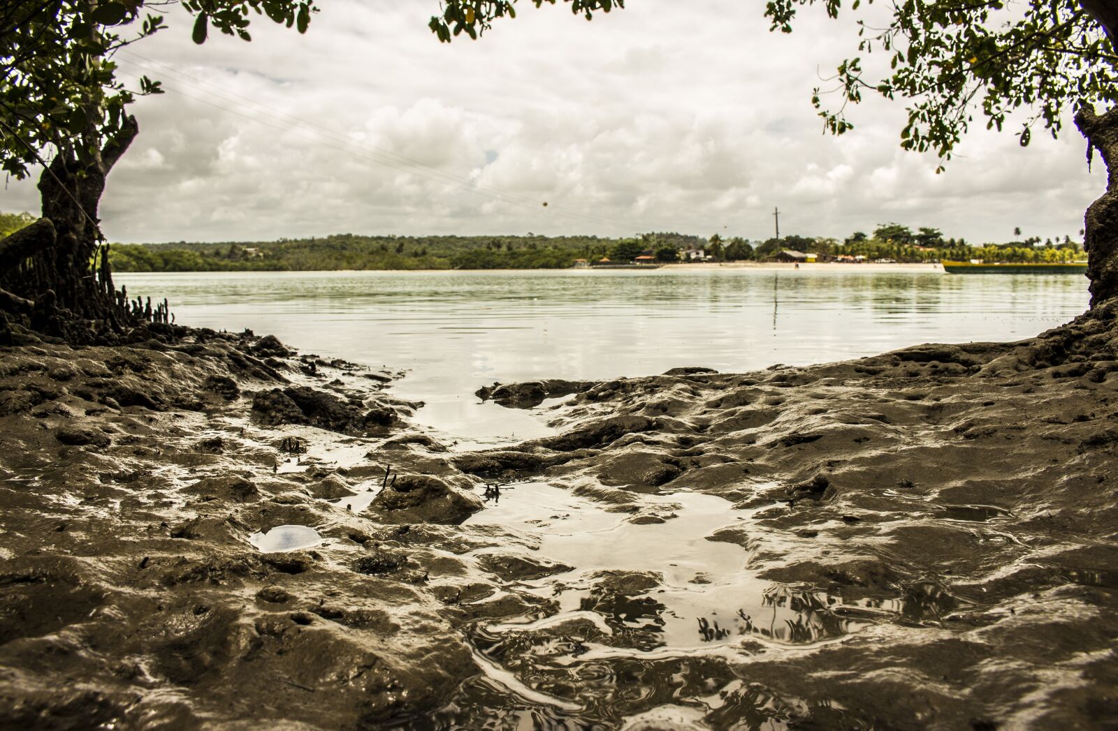 Canon EOS 700D (EOS Rebel T5i / EOS Kiss X7i) sample photo. Mangue, beach, mud photography