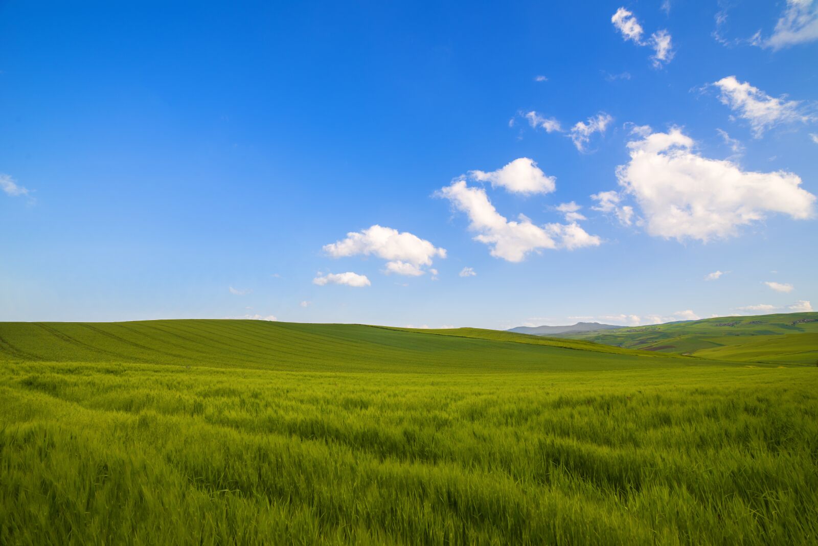 Nikon D610 sample photo. Nature, sky, landscape photography