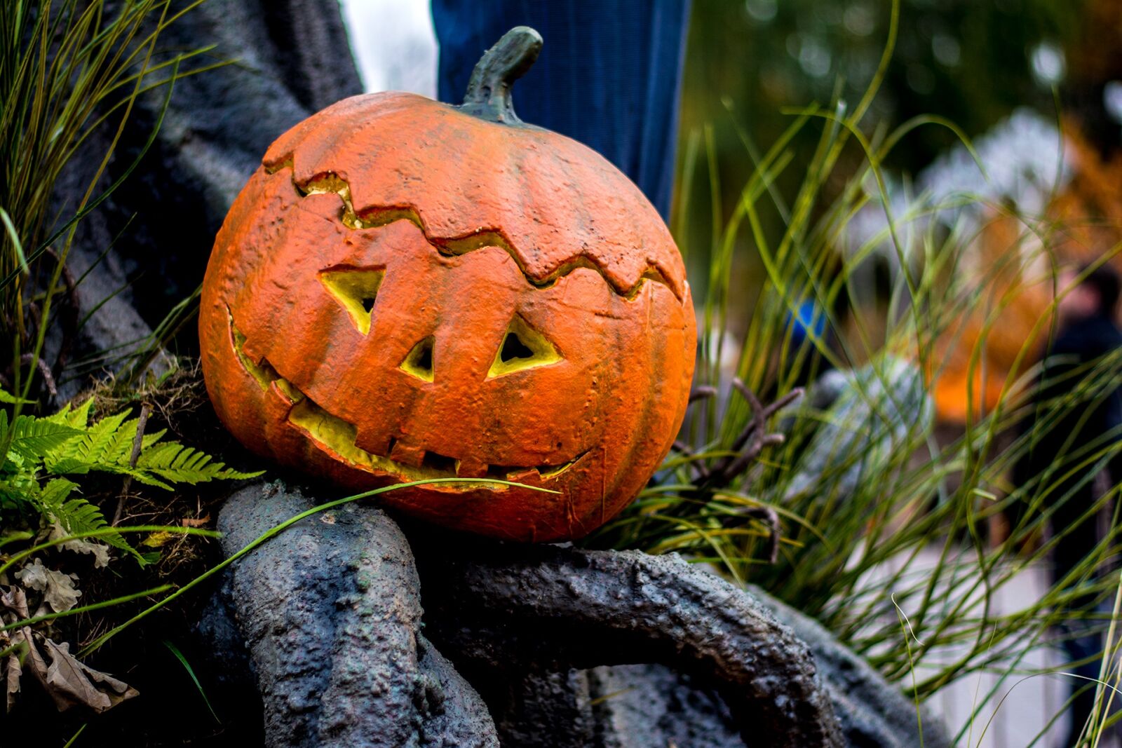 Nikon D7100 sample photo. Halloween, autumn, pumpkin photography