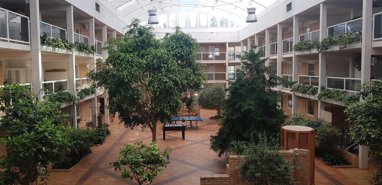 Samsung Galaxy S8 sample photo. Indoor, garden, terracotta photography