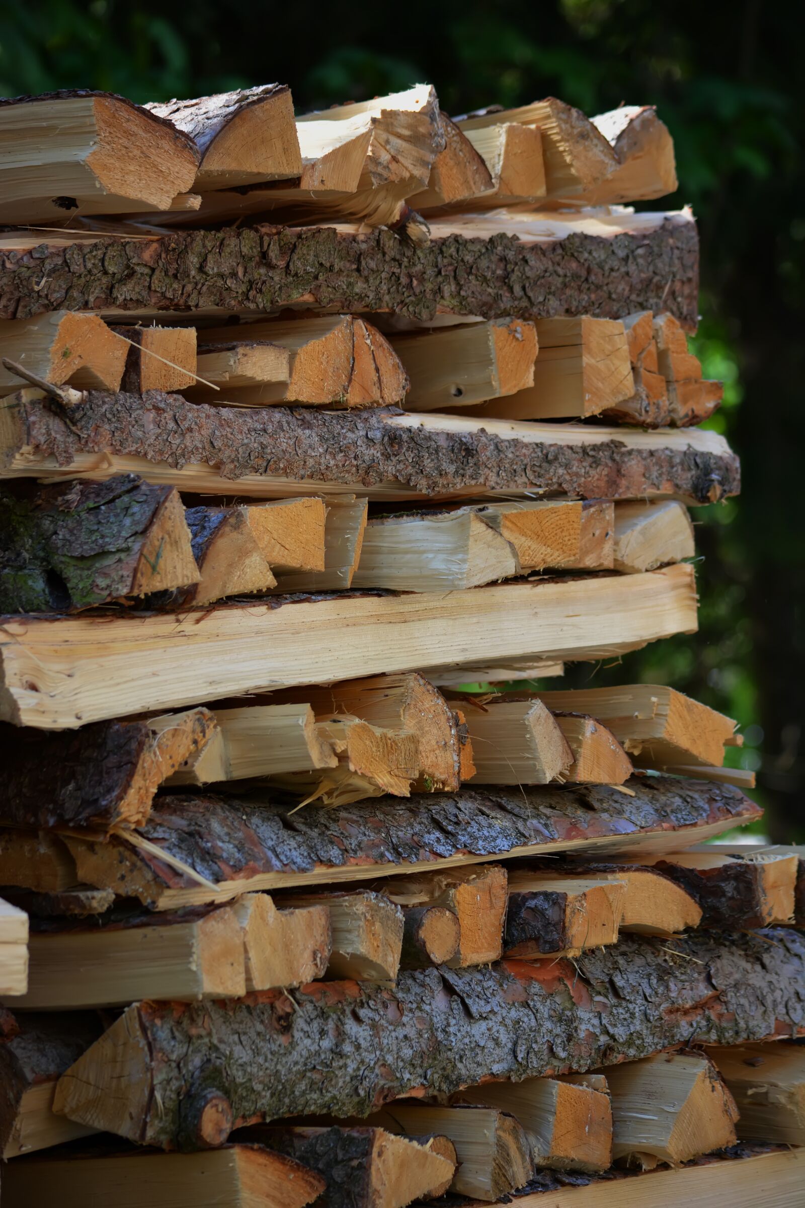 Nikon D5200 sample photo. Firewood, trees, lumber photography