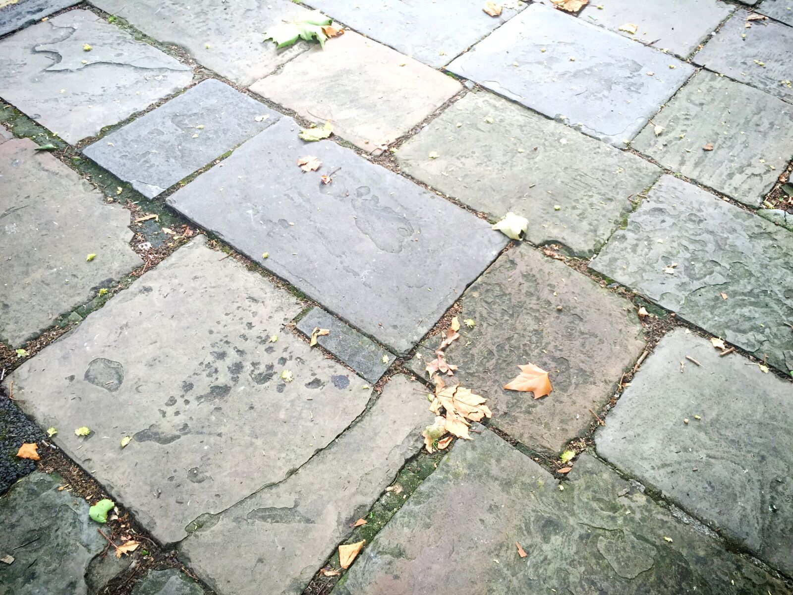 iPhone 6 Plus back camera 4.15mm f/2.2 sample photo. Pavement photography