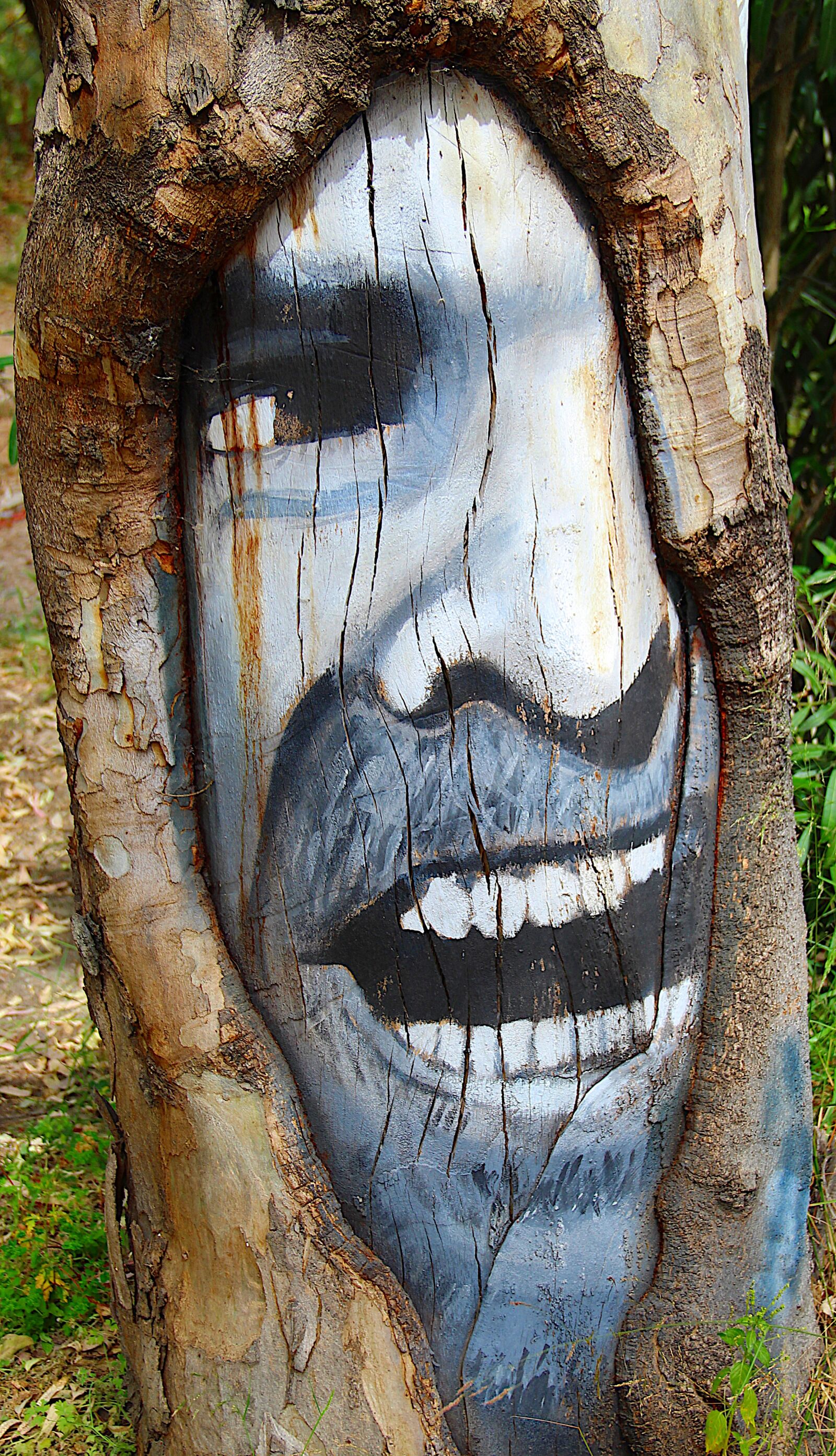 Canon EOS 4000D (EOS Rebel T100 / EOS 3000D) sample photo. Tree, graffiti, trees photography