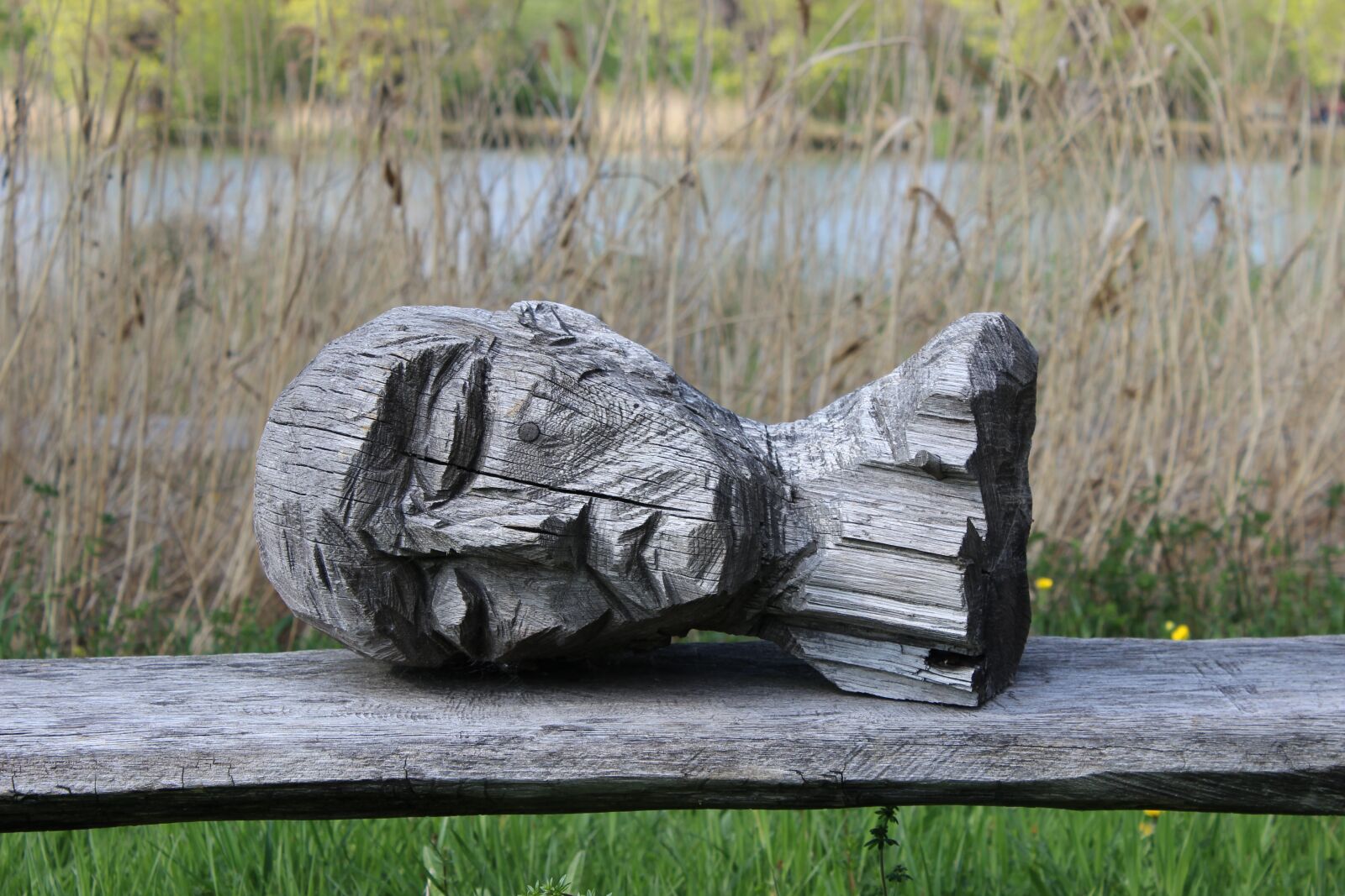 Canon EOS 600D (Rebel EOS T3i / EOS Kiss X5) sample photo. Still life, head, headless photography