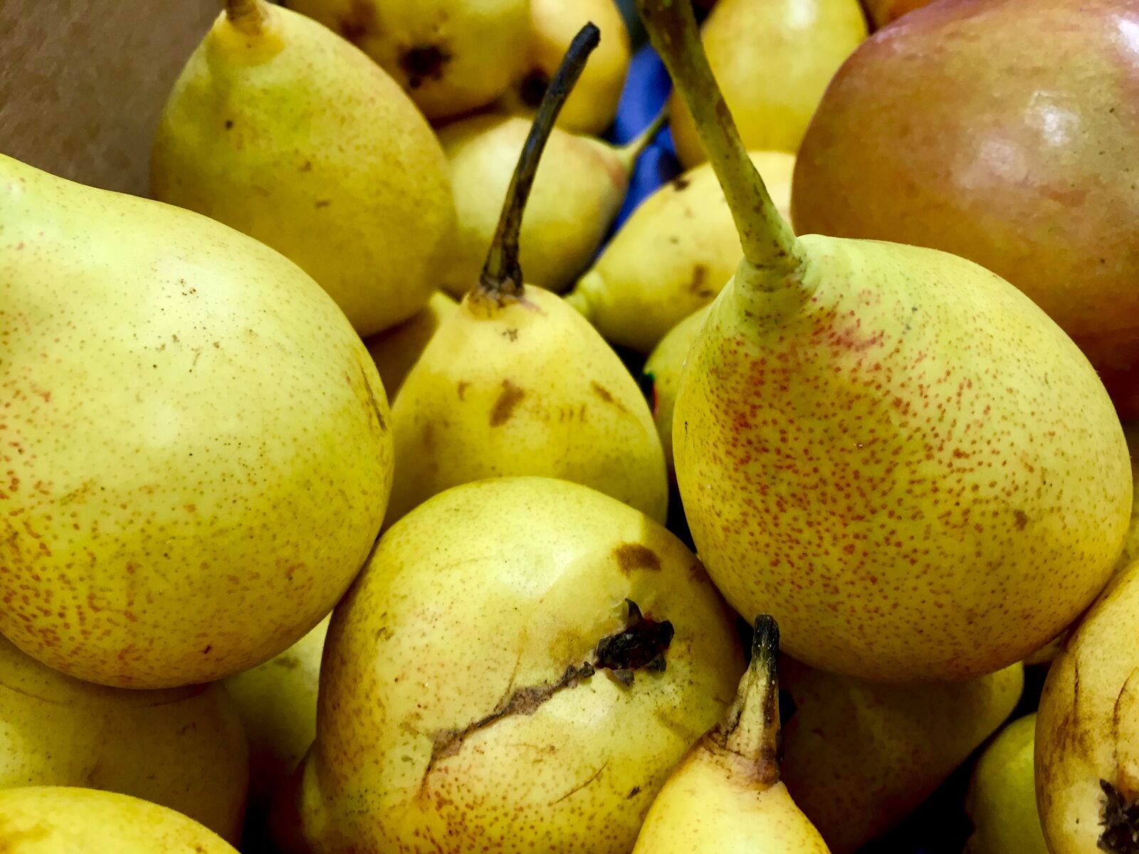 iPhone 6 back camera 4.15mm f/2.2 sample photo. Pears, apple, yellow photography