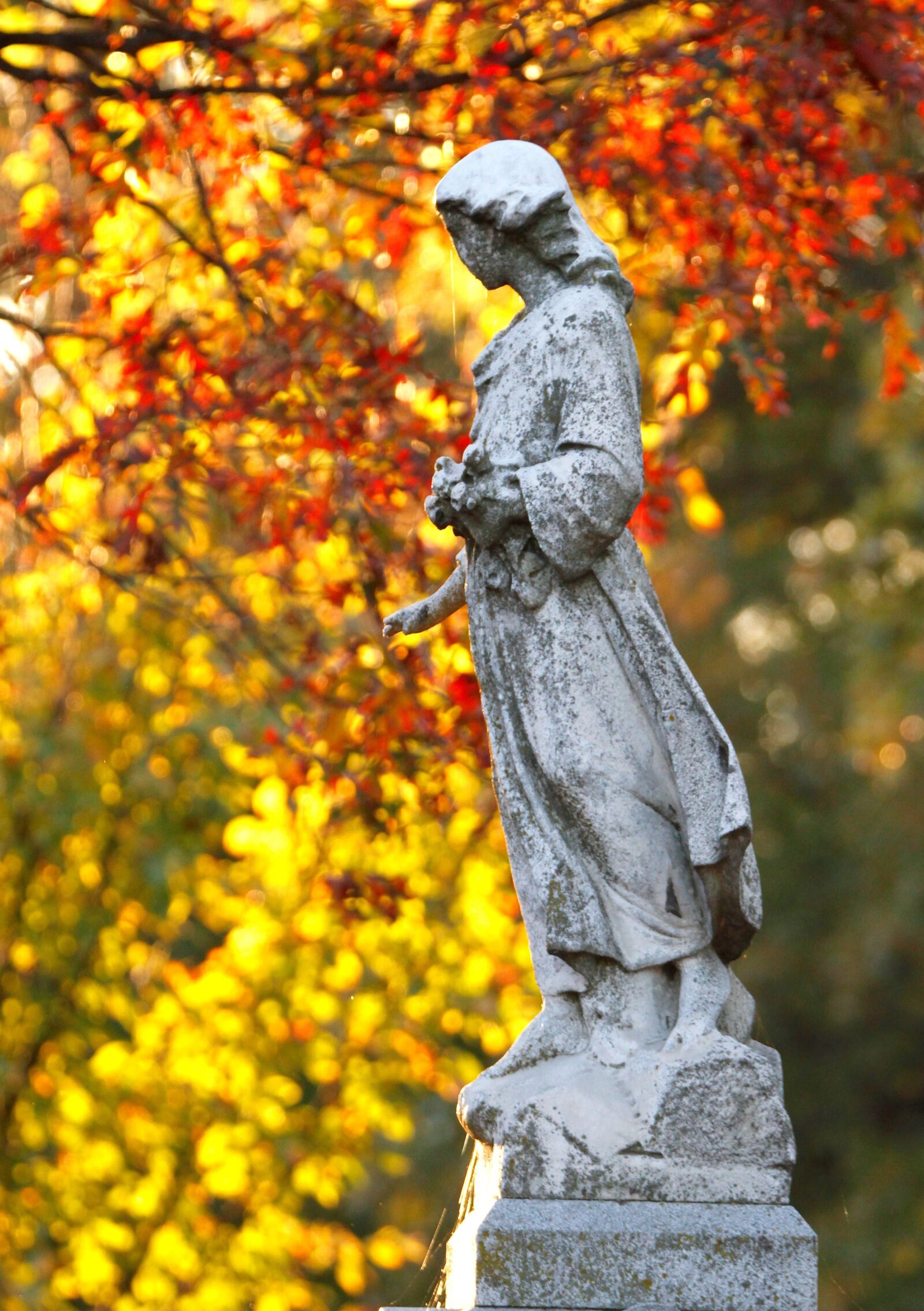 Canon EOS 7D sample photo. Angel, statue, sculpture photography