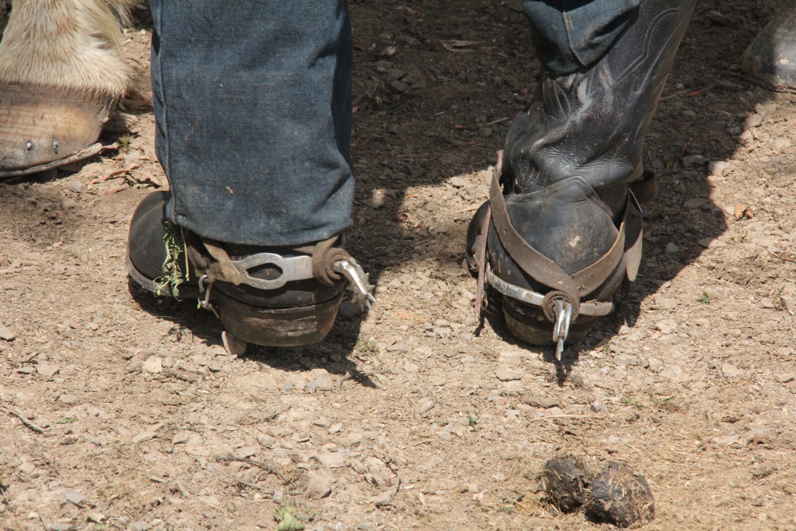 Canon EF-S 18-200mm F3.5-5.6 IS sample photo. Feet, horse, riding boots photography