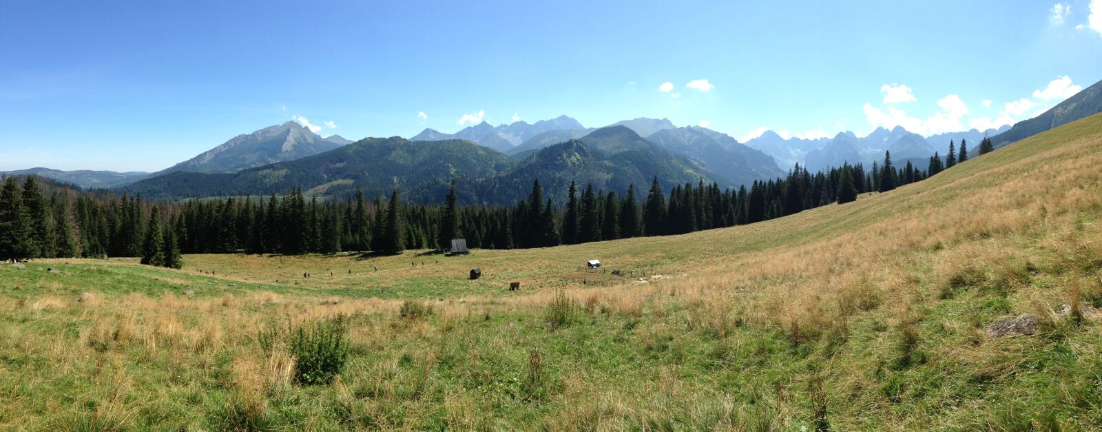 iPhone 5c back camera 4.12mm f/2.4 sample photo. Tatry, mountains, rusinowa logs photography