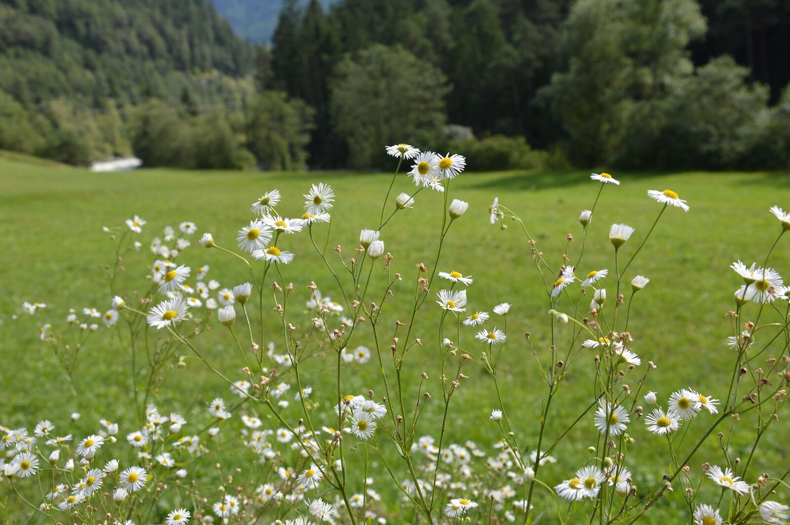 Nikon D3200 sample photo. Tyrol, austria, mountains photography