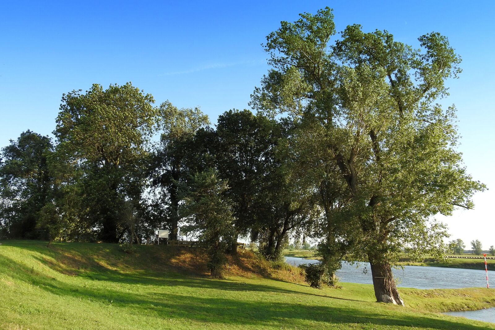 Nikon Coolpix P900 sample photo. Landscape, trees, river photography