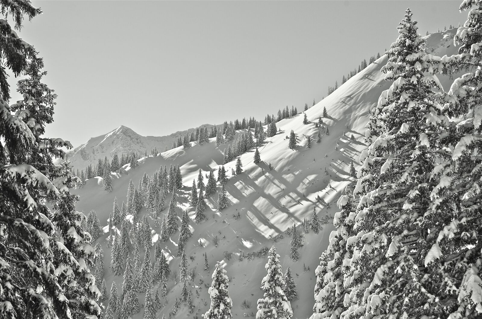 Pentax K-5 II sample photo. Snow, landscape, snow landscape photography