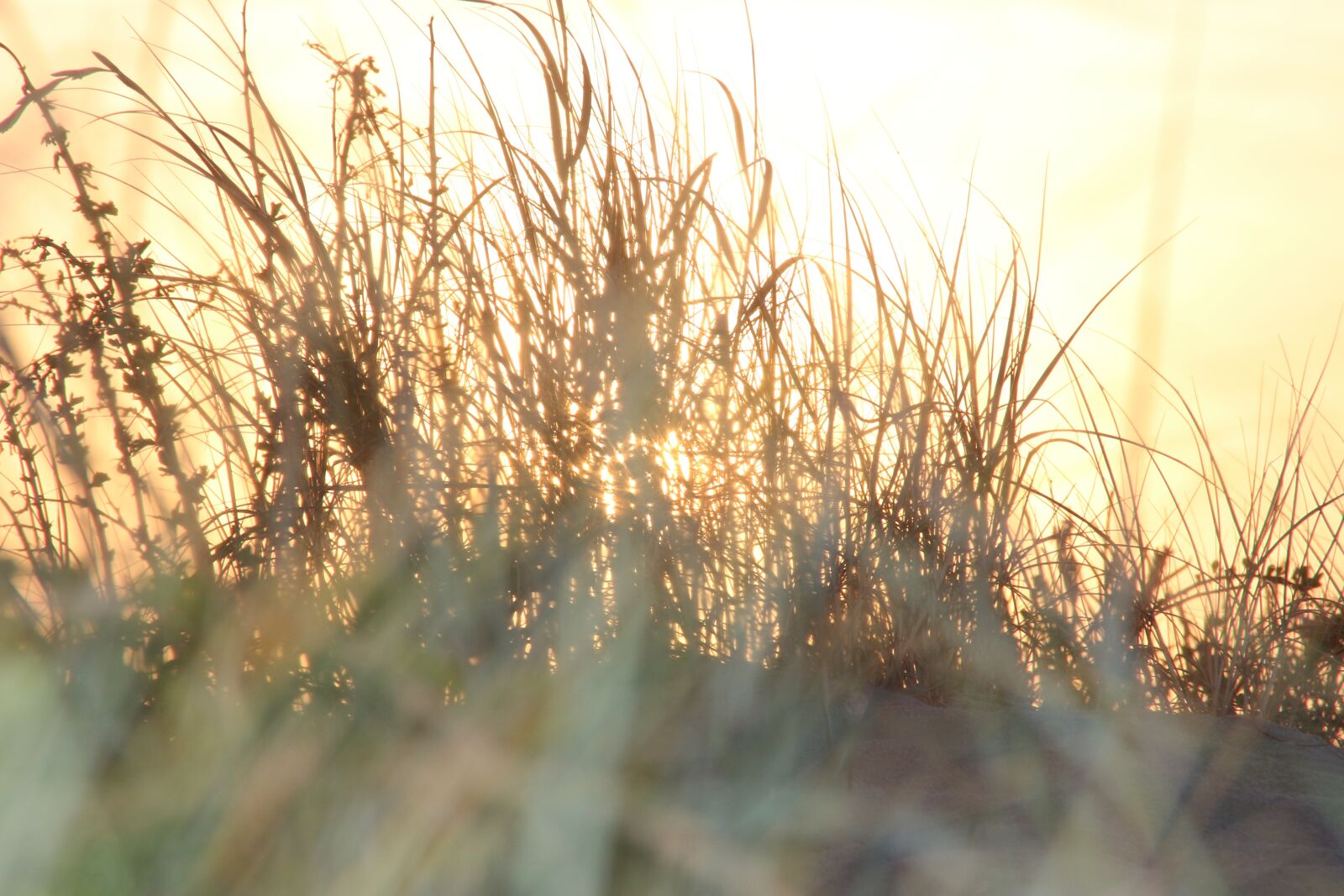 Canon EOS 700D (EOS Rebel T5i / EOS Kiss X7i) sample photo. Mimizan, sleep, sun photography