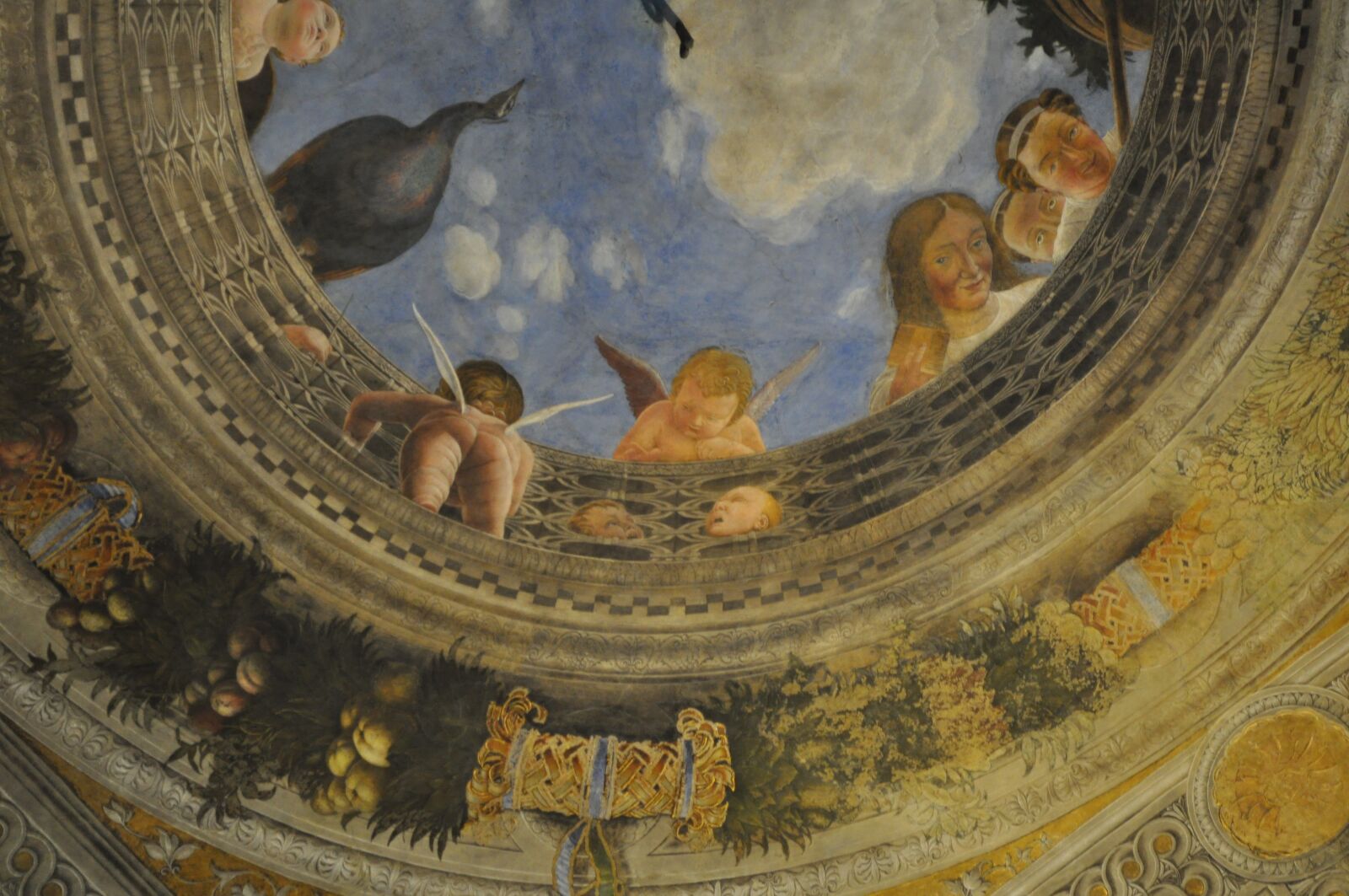 Nikon D5000 sample photo. Mantova, oculus, palazzo ducale photography