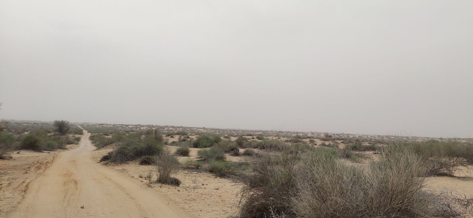 Xiaomi Redmi Note 7 Pro sample photo. Thar, desert, rajasthan photography