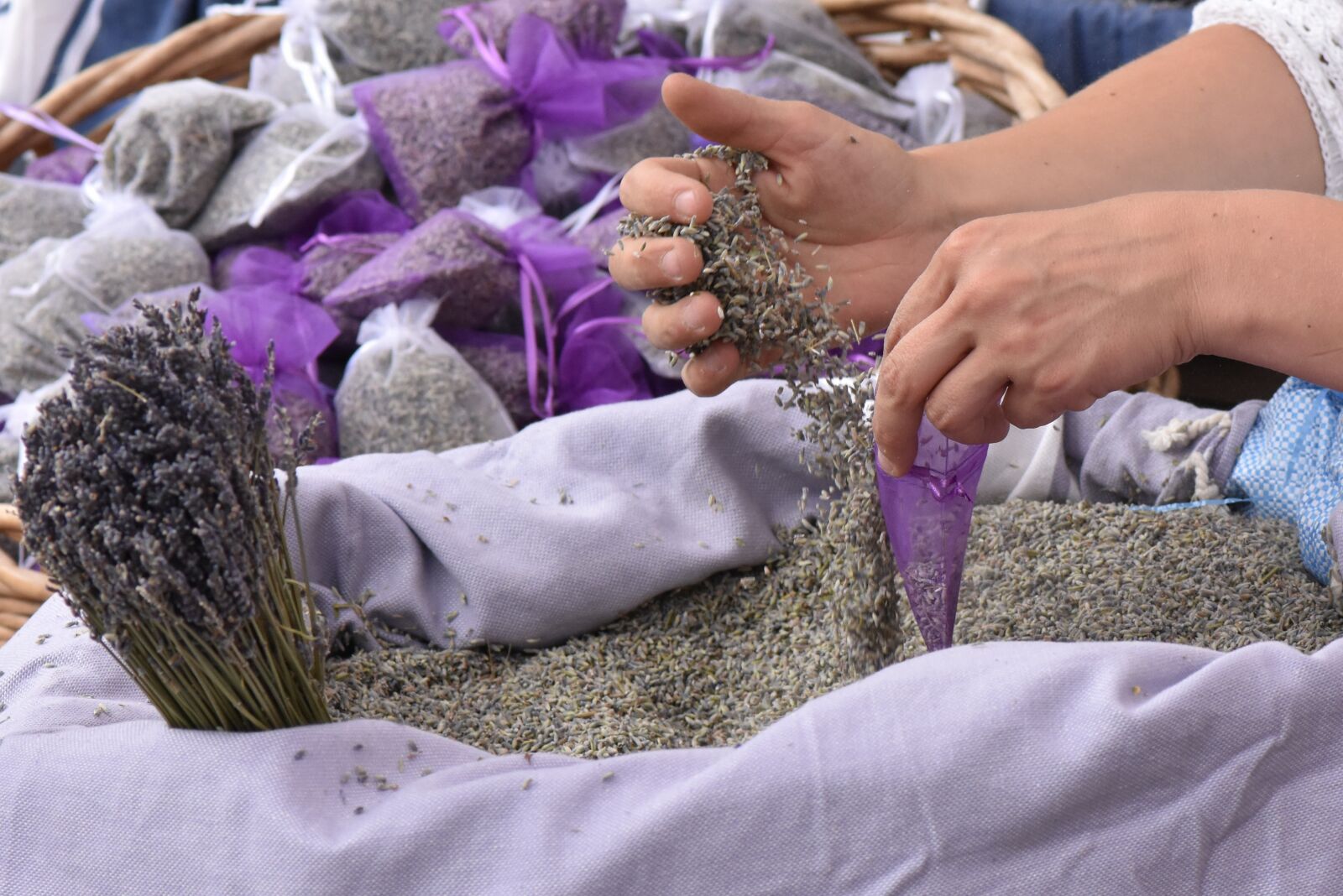 Nikon D7200 sample photo. Lavender, provence, france photography