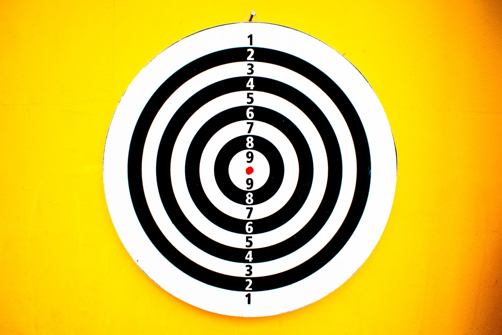 Nikon D3300 sample photo. Dart, round, target photography