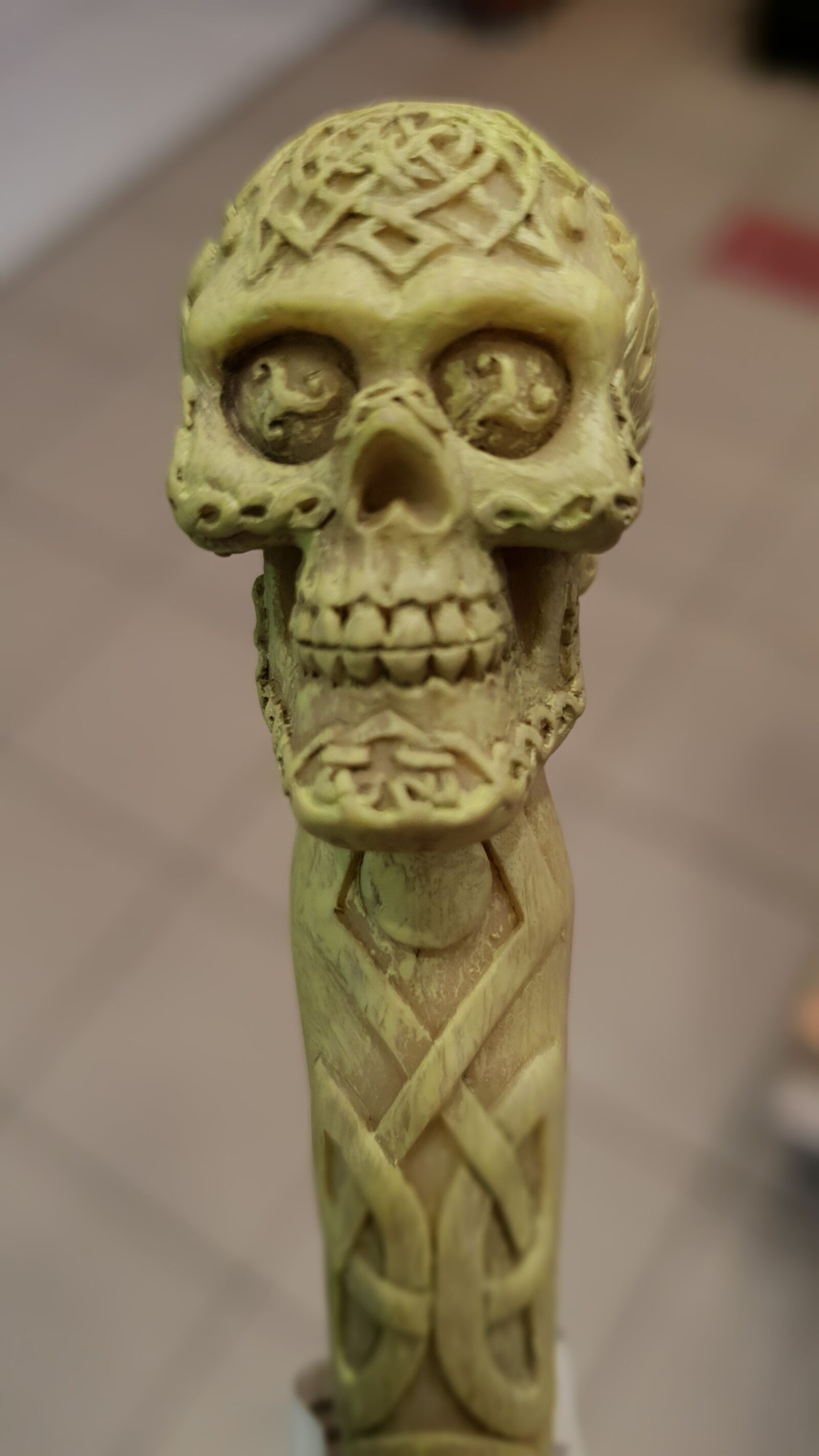 Samsung Galaxy S9 sample photo. Dead head, pen head photography