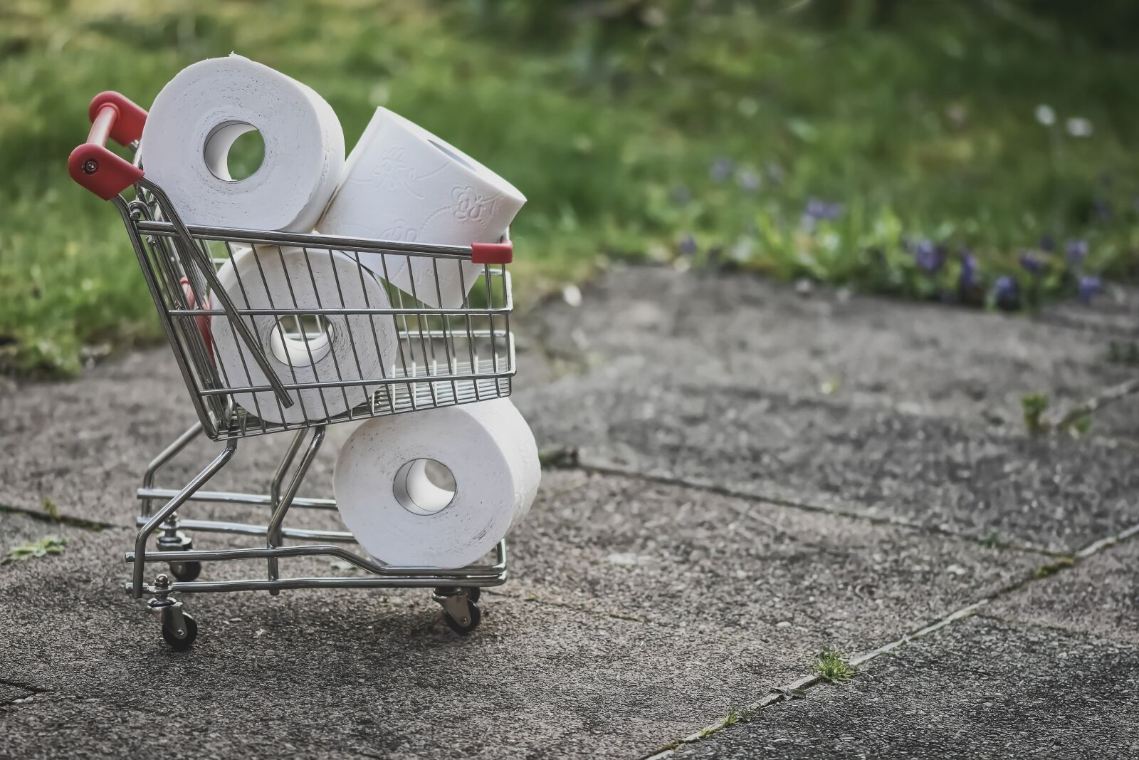 Nikon D7200 sample photo. Shopping, toilet paper, covid-19 photography