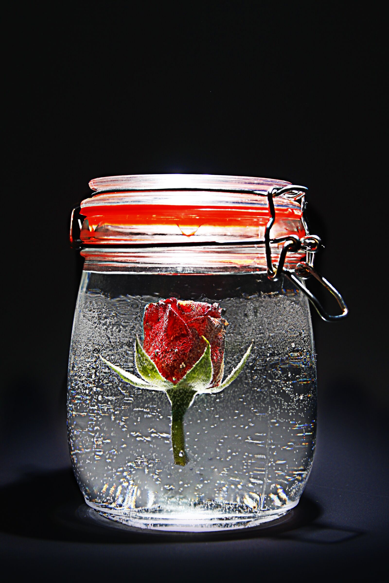 Canon EOS 1000D (EOS Digital Rebel XS / EOS Kiss F) sample photo. Rose, red, jar photography