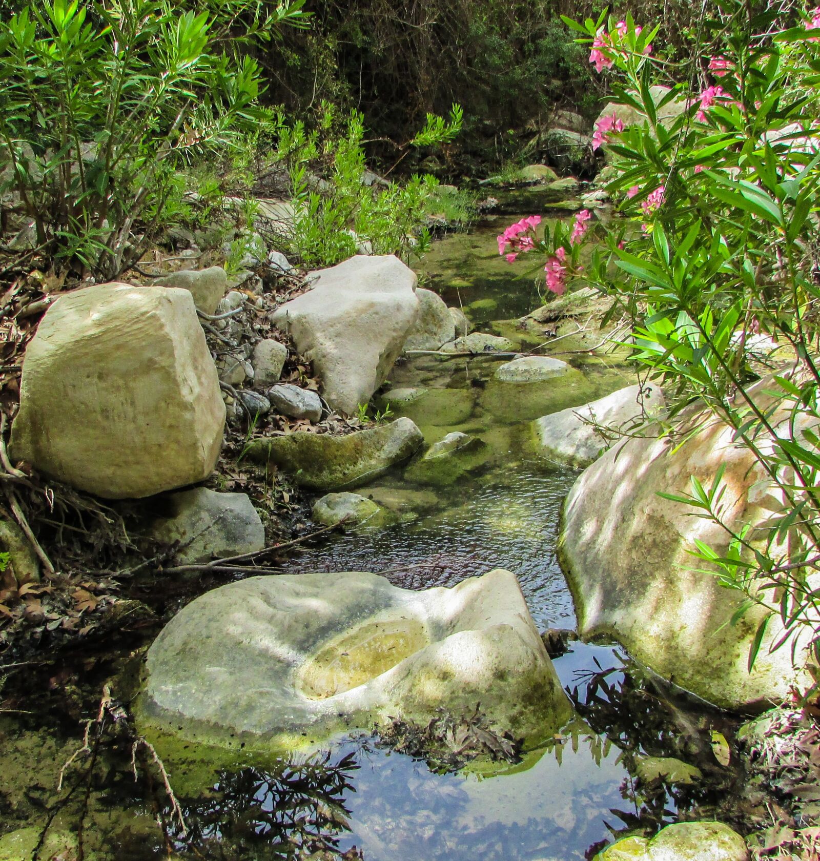 Canon PowerShot SX400 IS sample photo. Cyprus, akamas, national park photography