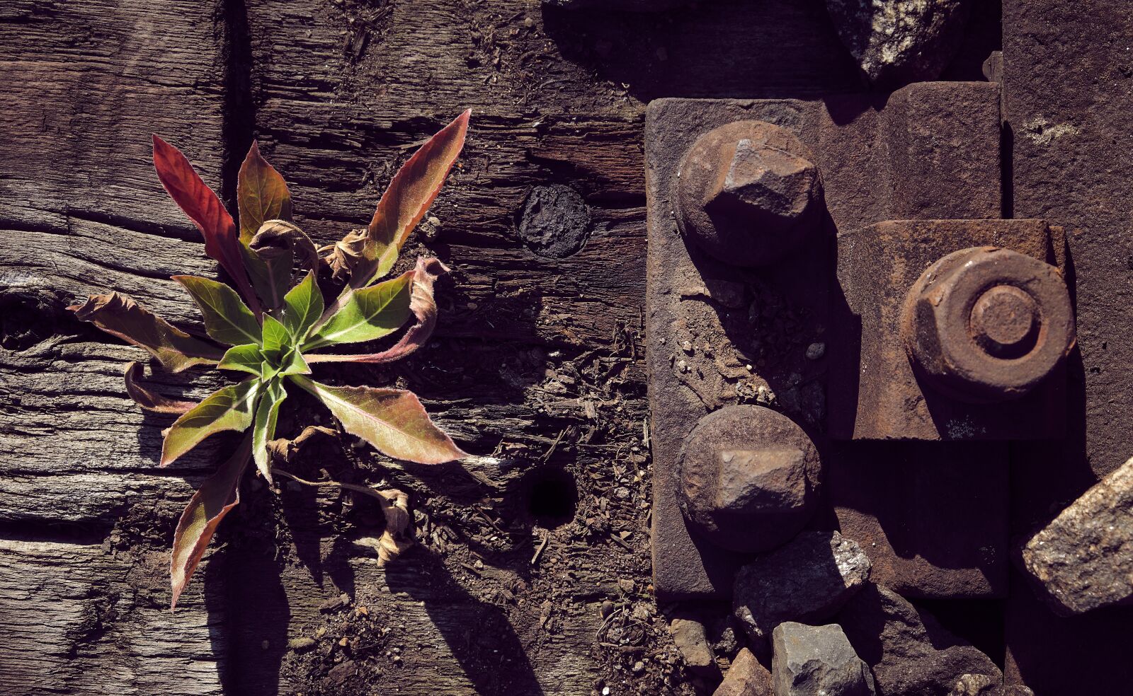 Fujifilm XF 18-55mm F2.8-4 R LM OIS sample photo. Railway sleepers, back to photography