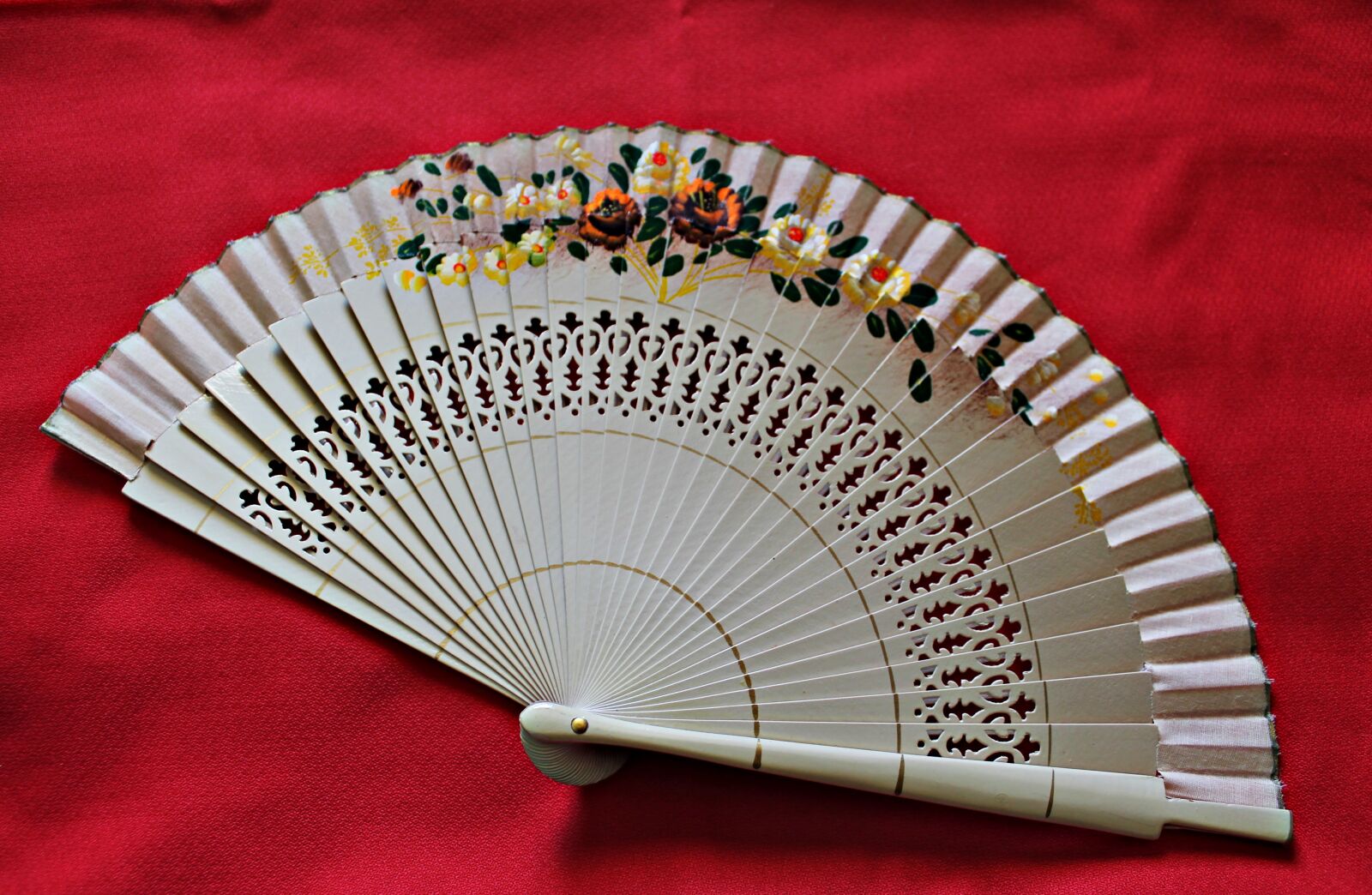 Canon EOS 1100D (EOS Rebel T3 / EOS Kiss X50) sample photo. Fan, trim, ornamental photography