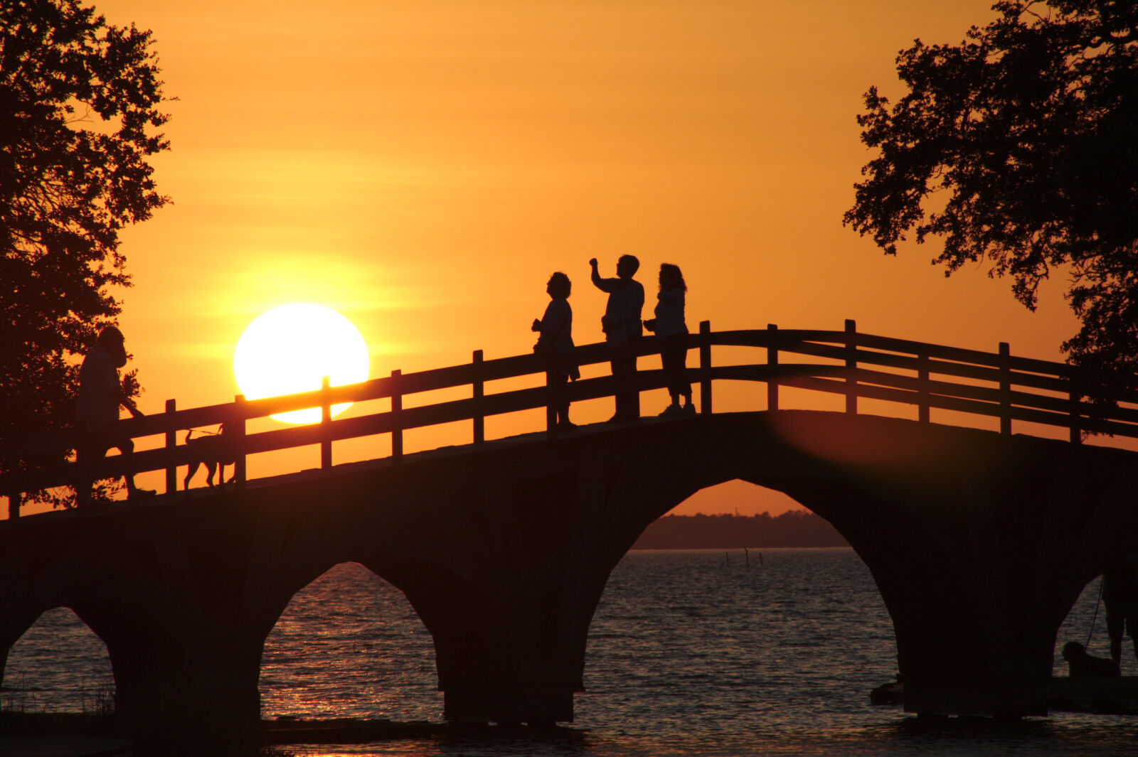 Canon EF 75-300mm f/4-5.6 sample photo. Bridge, landscape, nature, outdoor photography