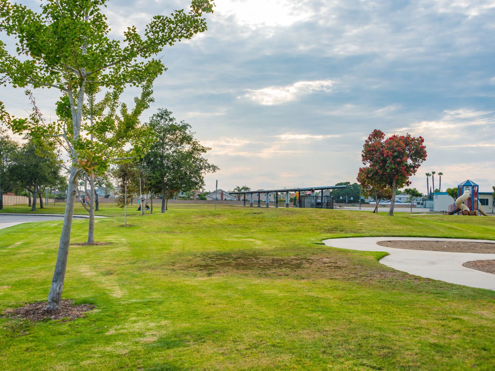 Nikon D800 sample photo. Park, green, playground photography