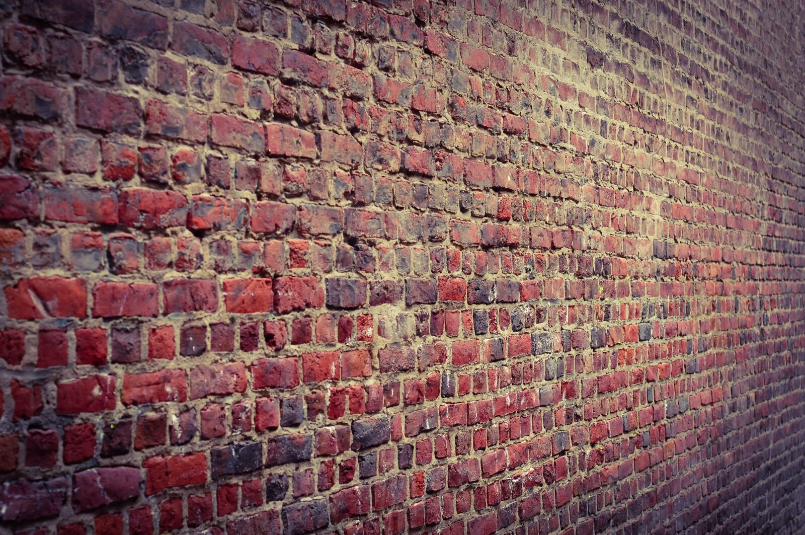 Nikon D300S sample photo. Model, wall, wallpaper photography