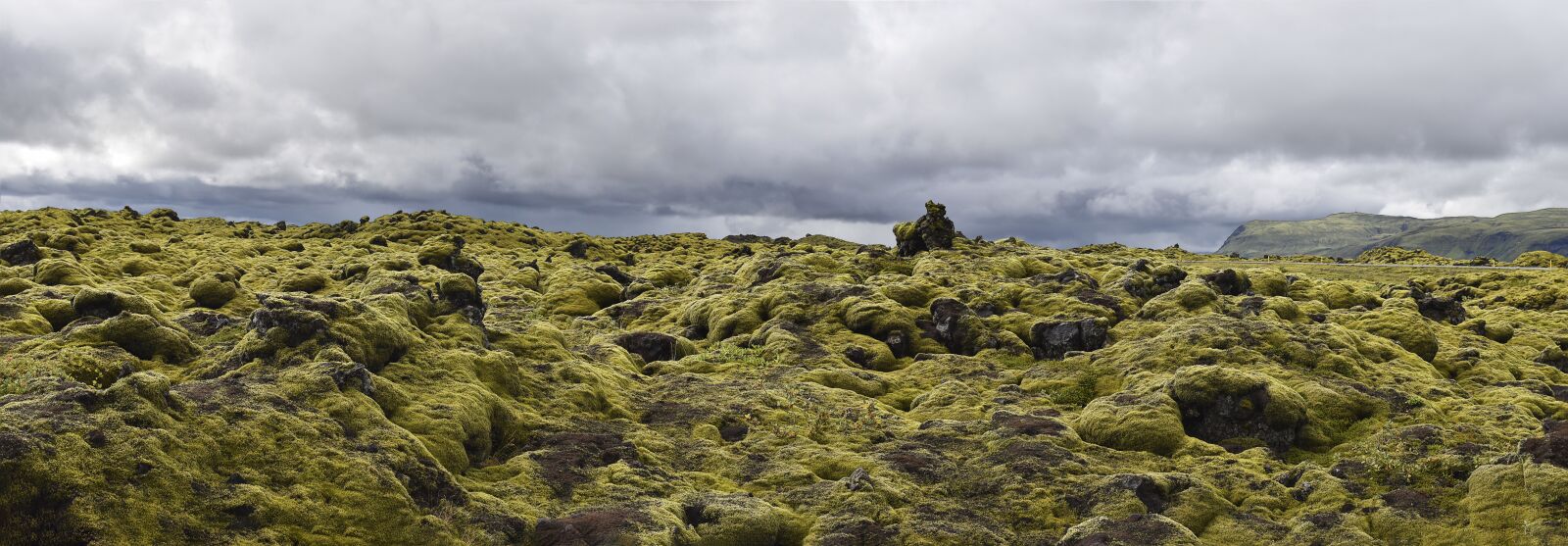 Nikon D5600 sample photo. Iceland, green, nature photography