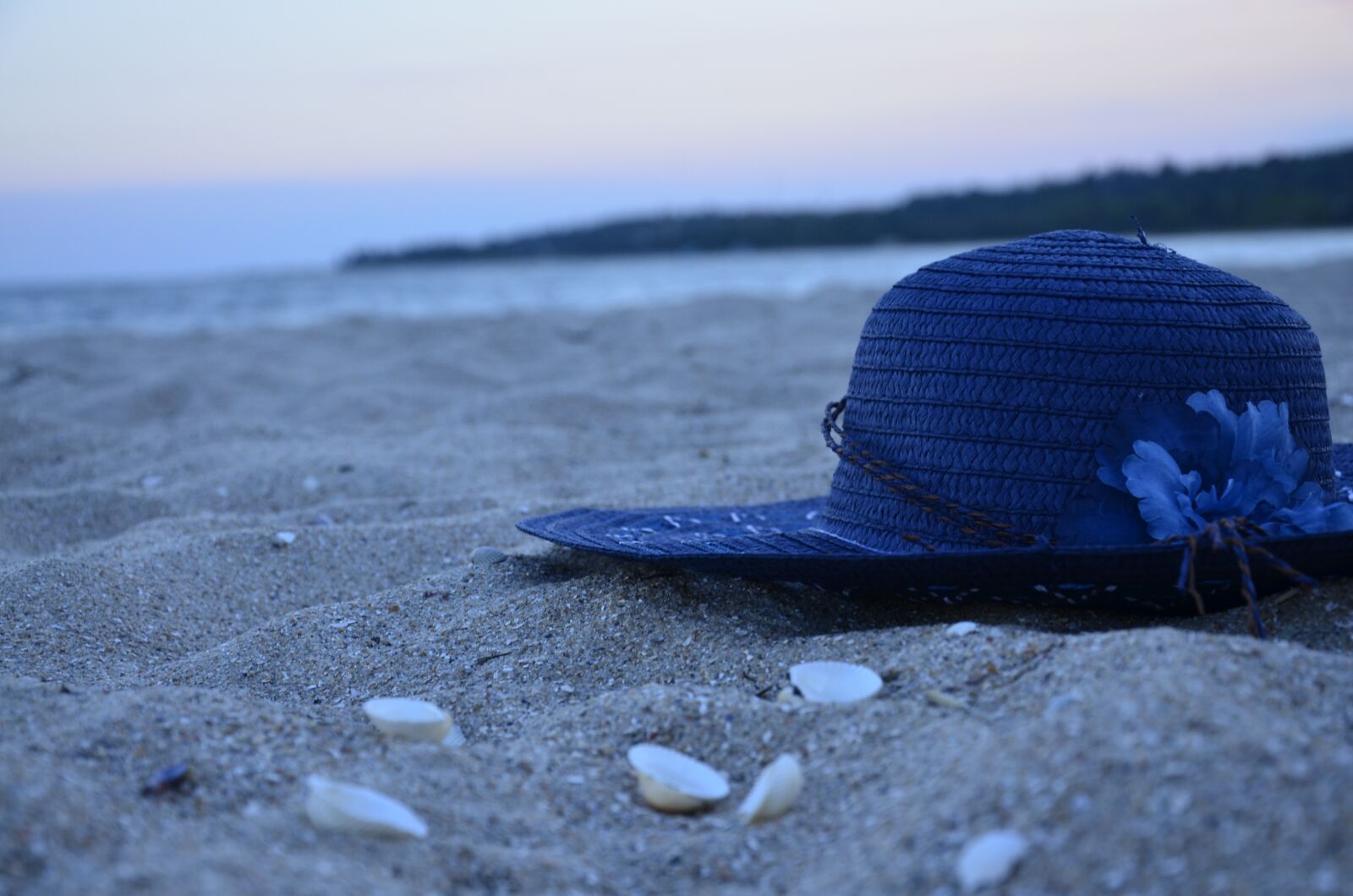 Nikon D7000 sample photo. Hat, sea, shell photography