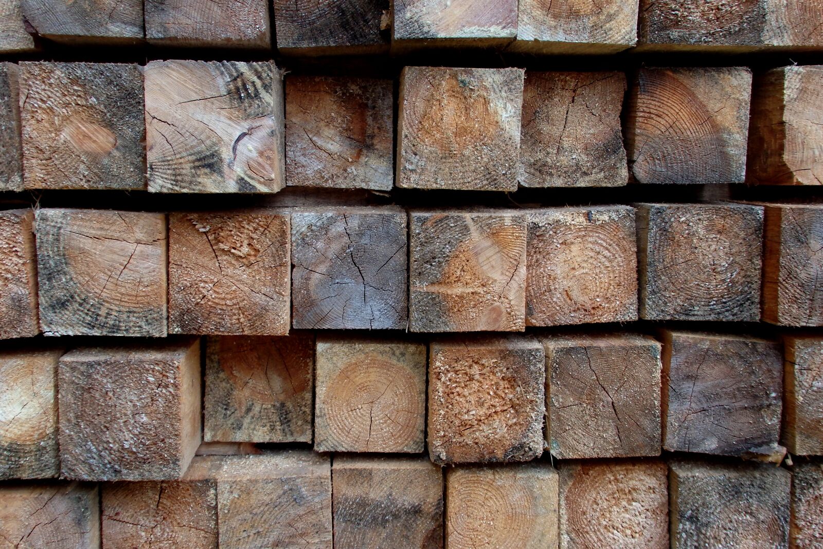 Olympus SH-60 sample photo. Wood, squares, texture photography