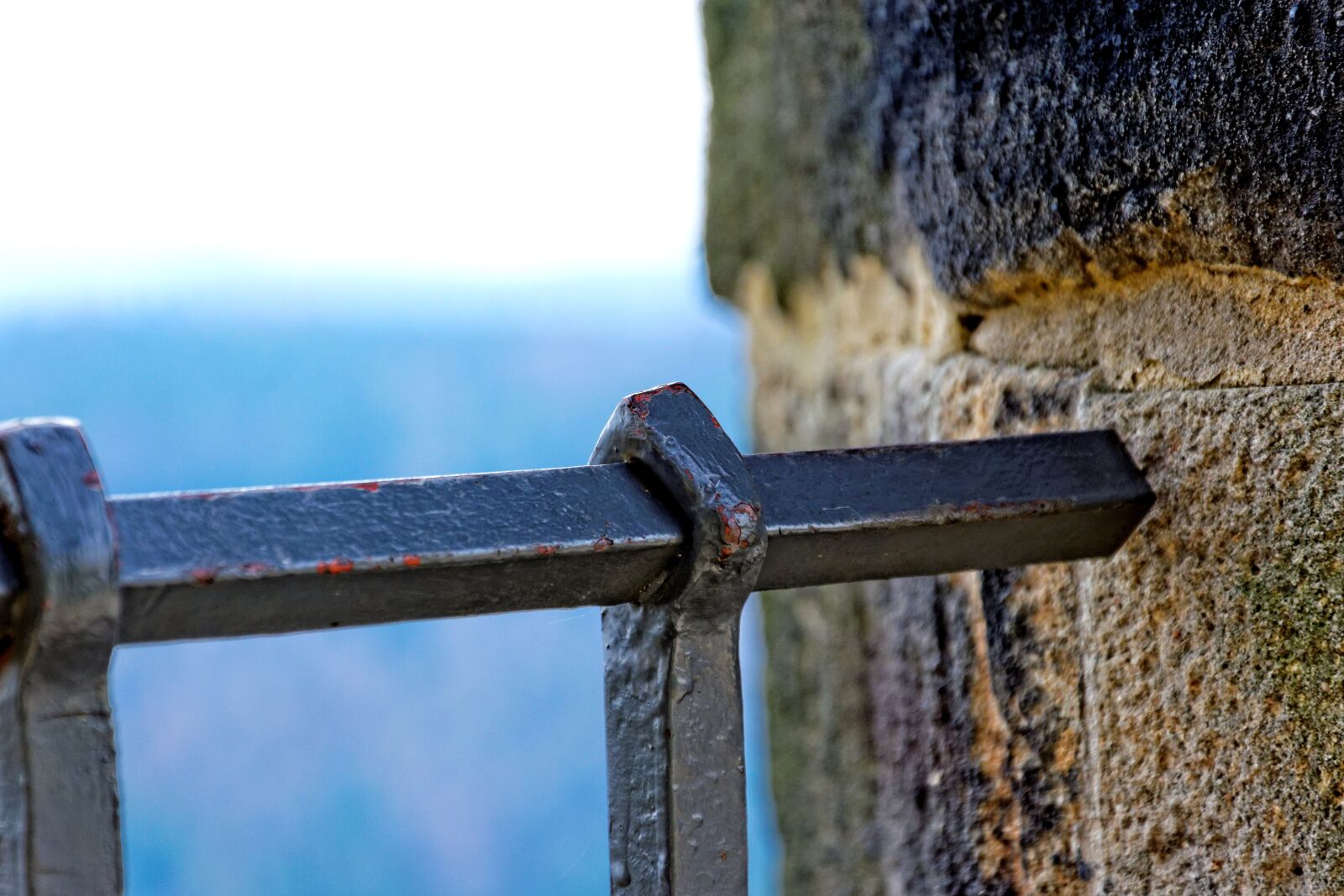 Nikon D5300 sample photo. Grid, outlook, nature photography