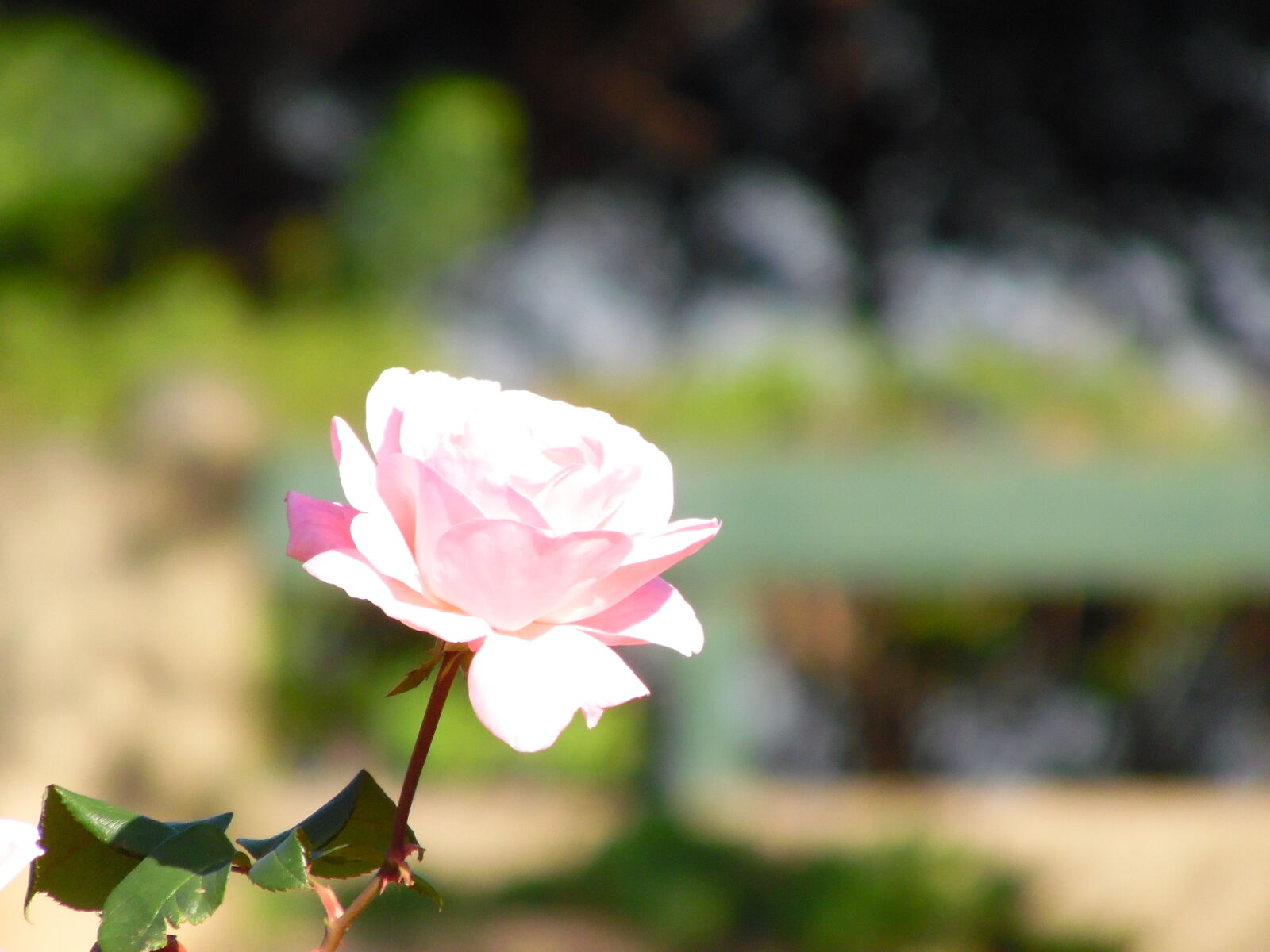 Samsung WB1100F/WB1101F/WB1102F sample photo