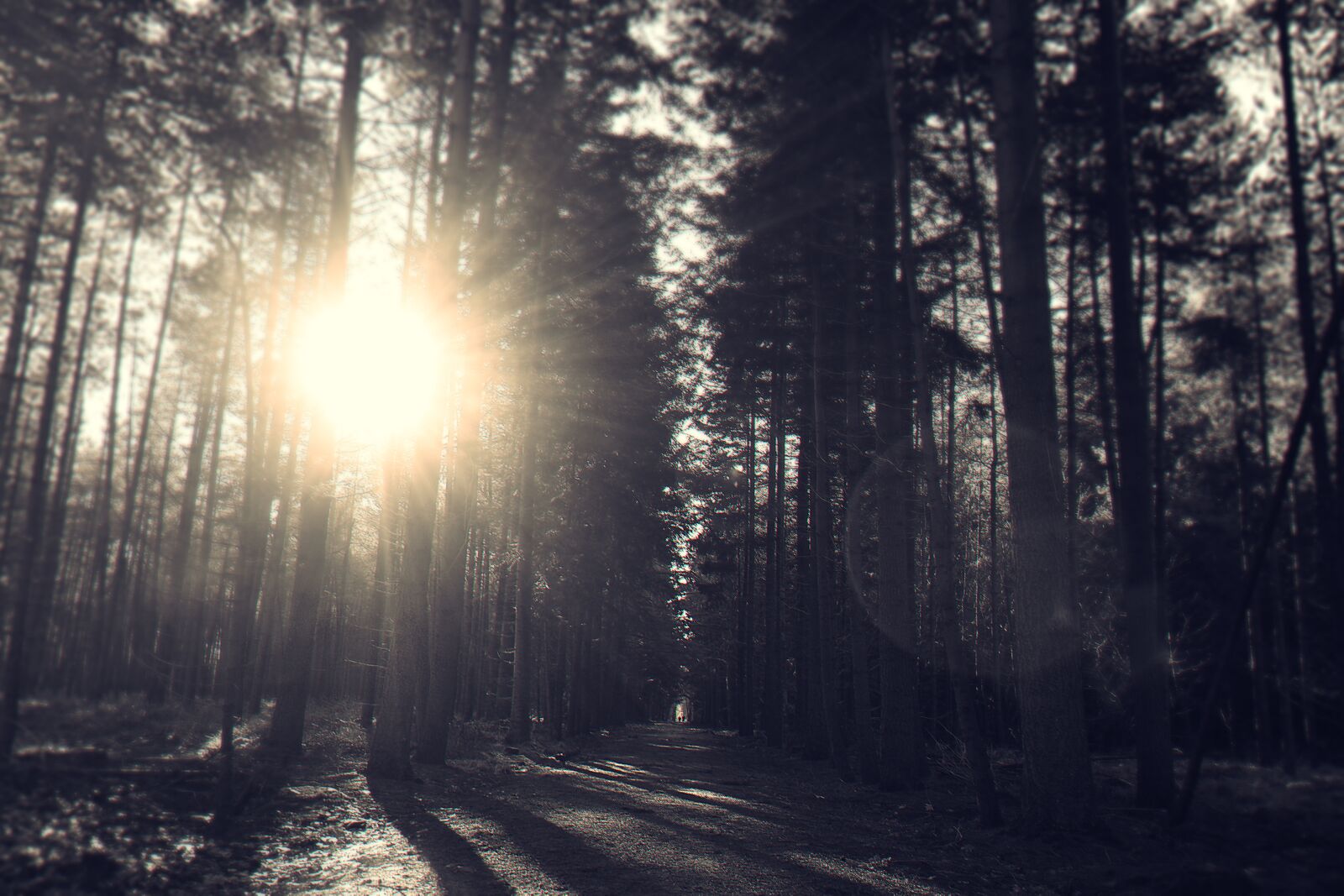 Samsung NX300 sample photo. Dark, dawn, dirt, road photography