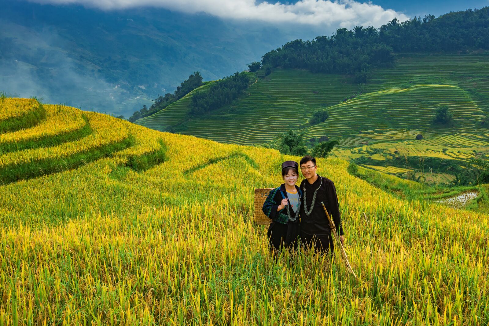 Nikon D750 sample photo. Landscape, terraces, rice photography