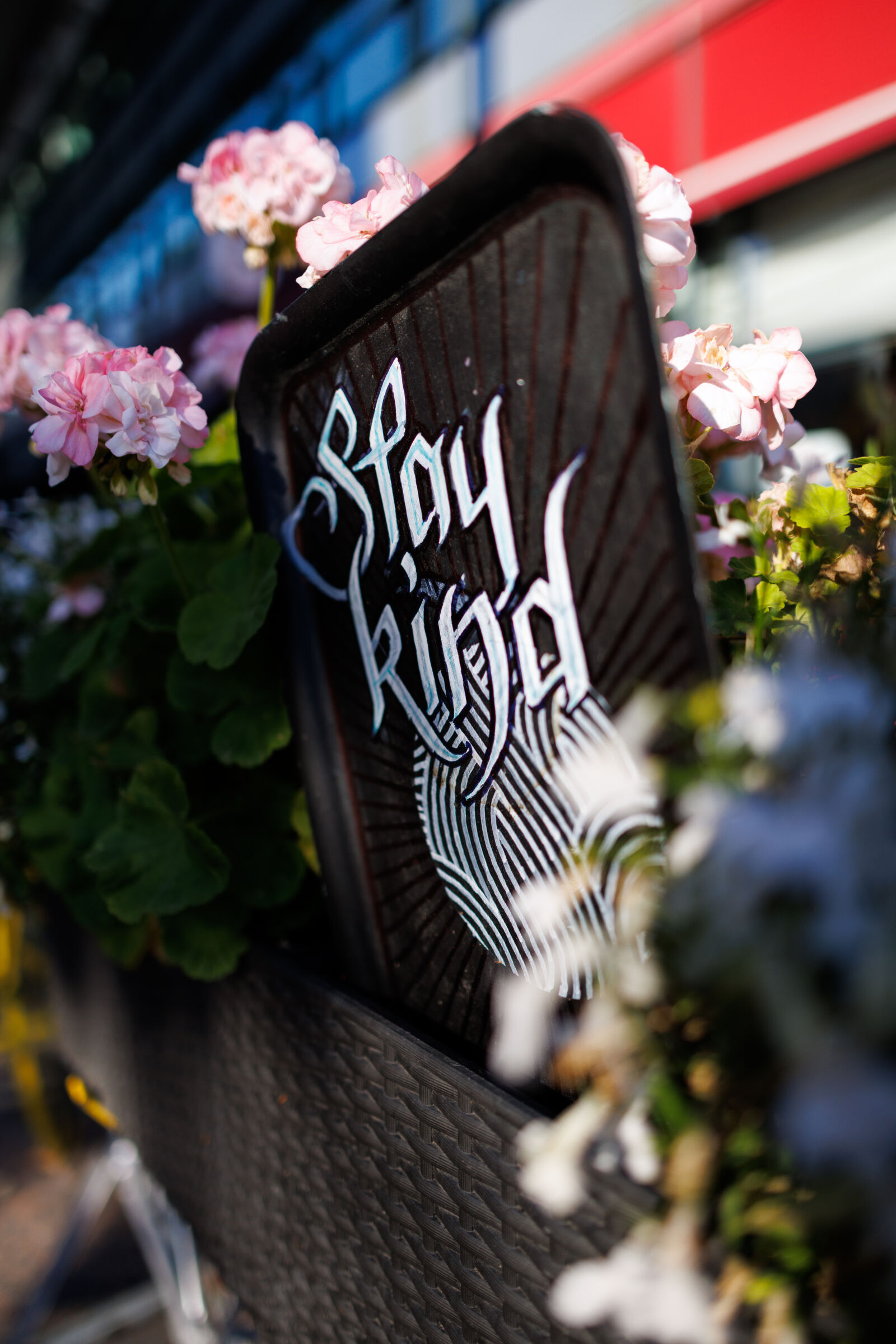 Canon EOS R5 sample photo. Stay kind sign photography