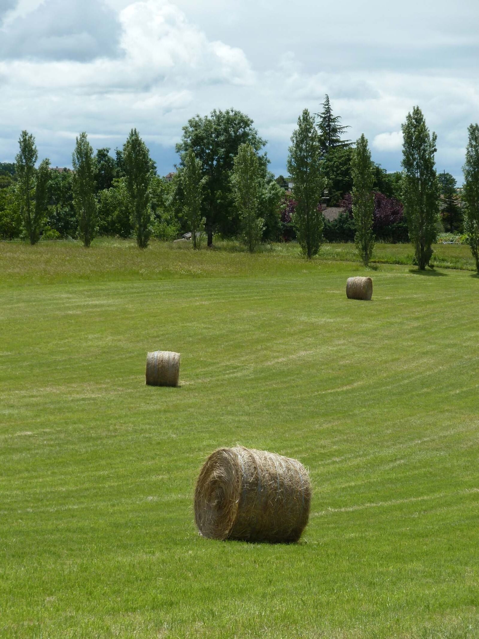 Panasonic Lumix DMC-ZS5 (Lumix DMC-TZ8) sample photo. Ball, straw, hay photography