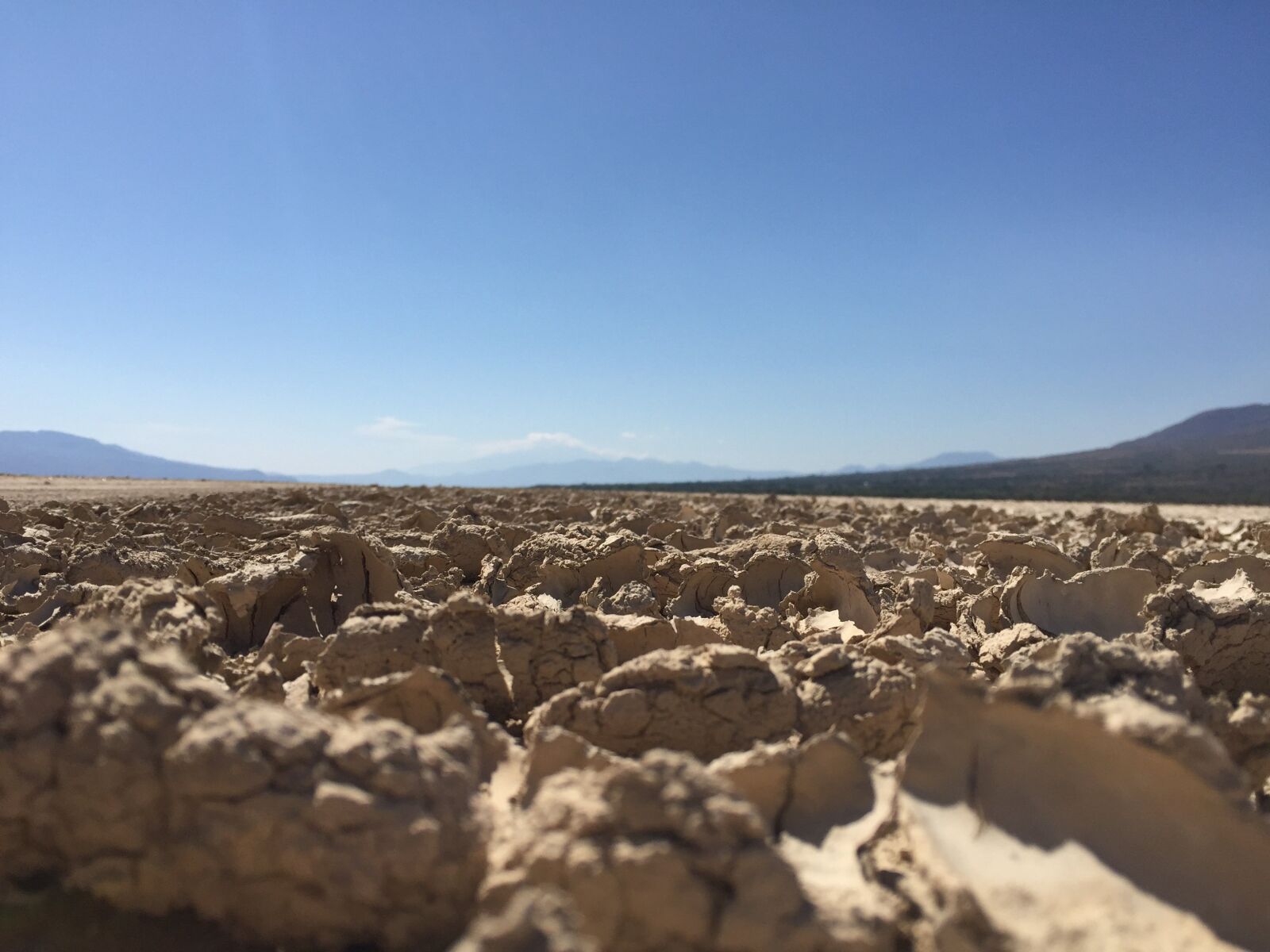 Apple iPhone 6 sample photo. Desert, drought, background photography